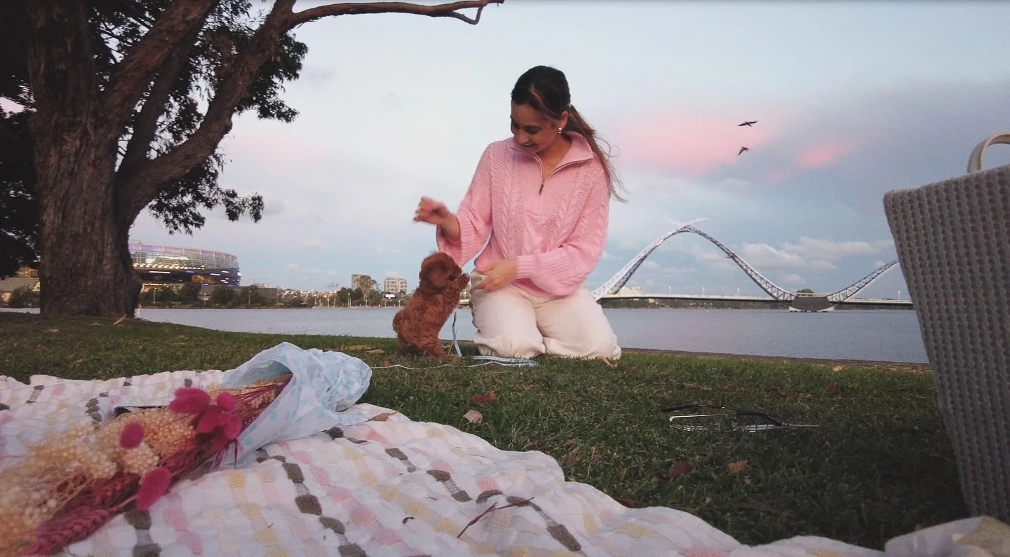 Atardecer rosado con Sunny de compa&ntilde;&iacute;a 🐾
