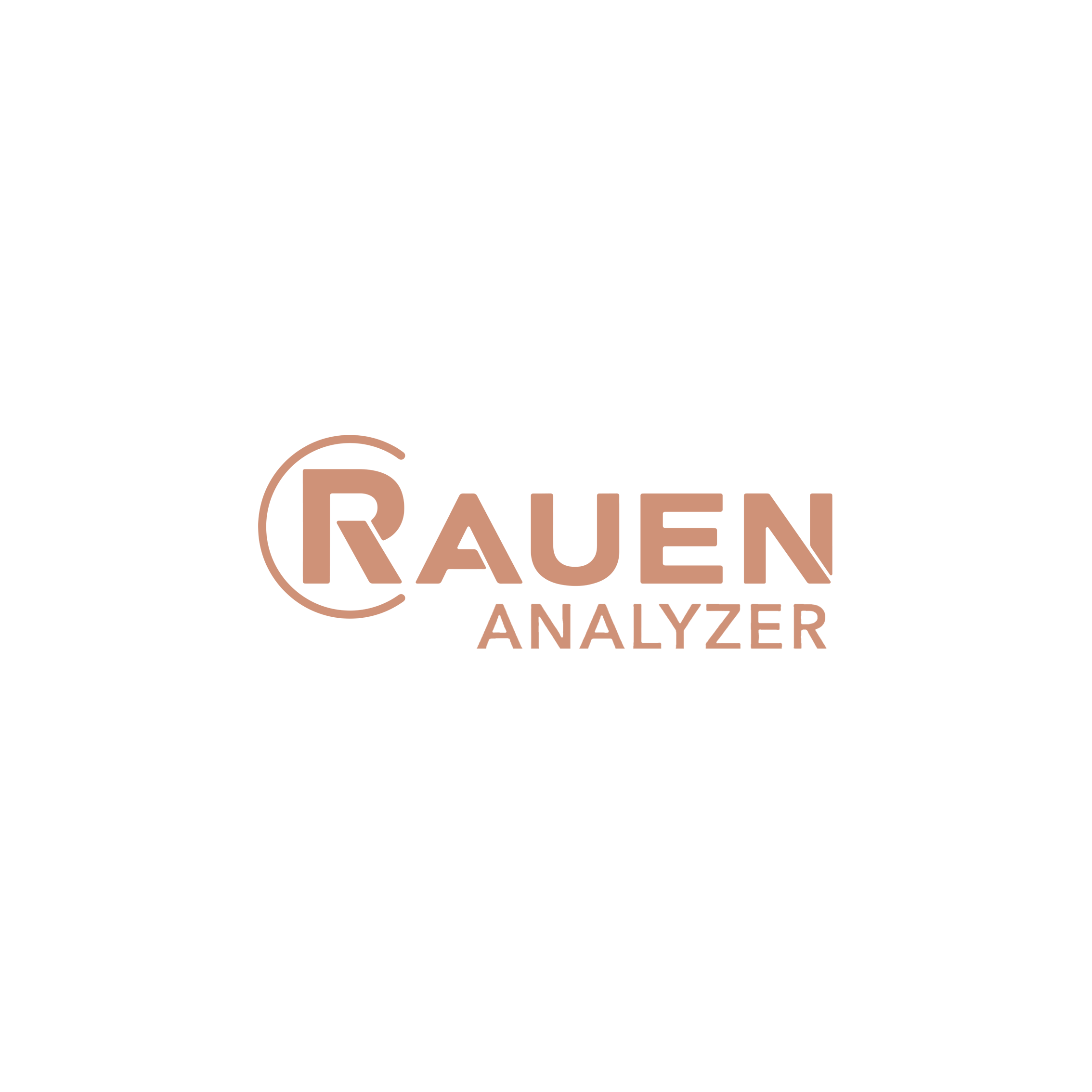 Rauen Analyzer.png