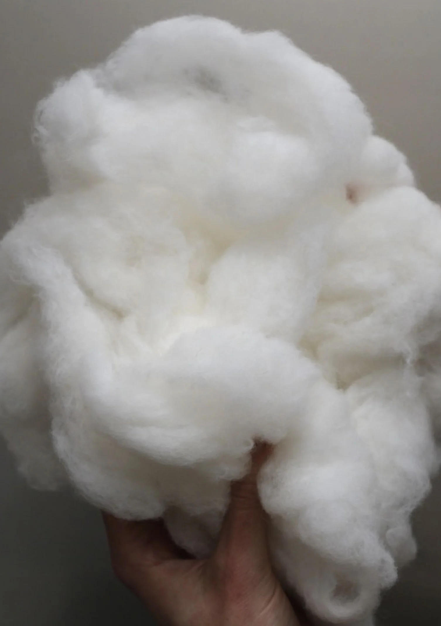 6AM_Rakumba Big Glow 9.jpg