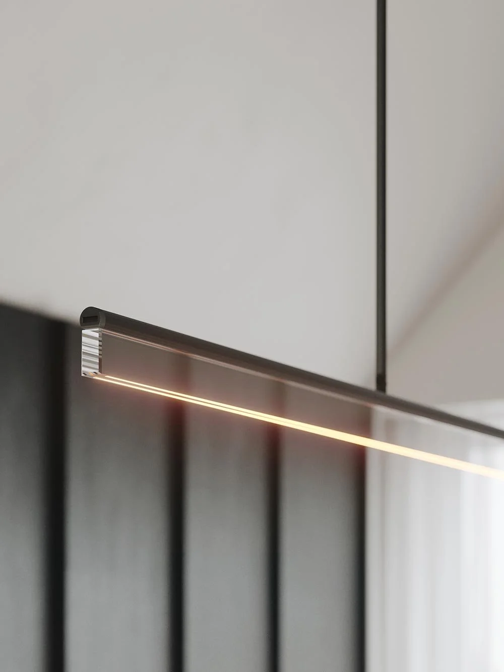 6AM_Rakumba Napier 4.jpg