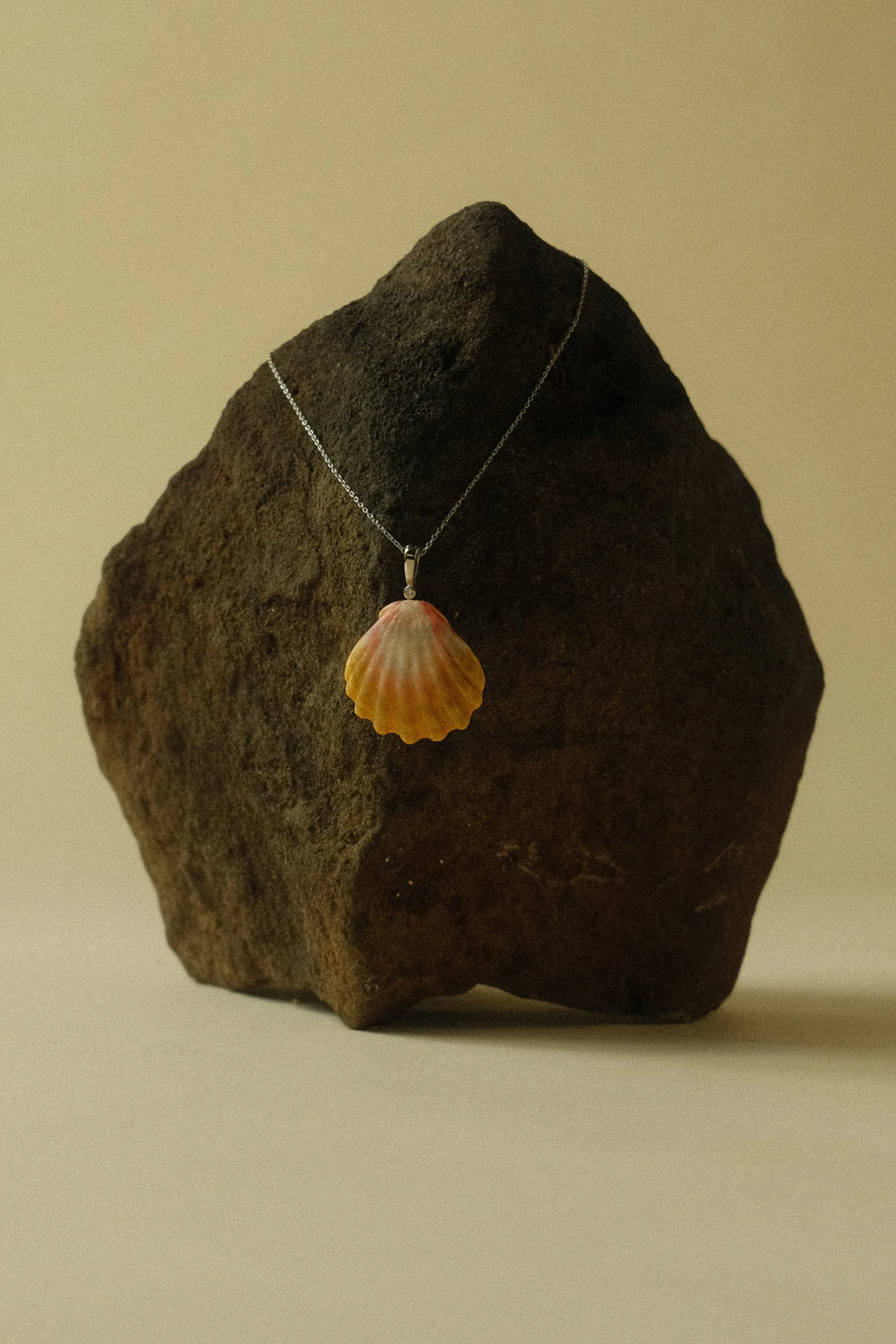 Necklace with a seashell pendant hanging on a rock.