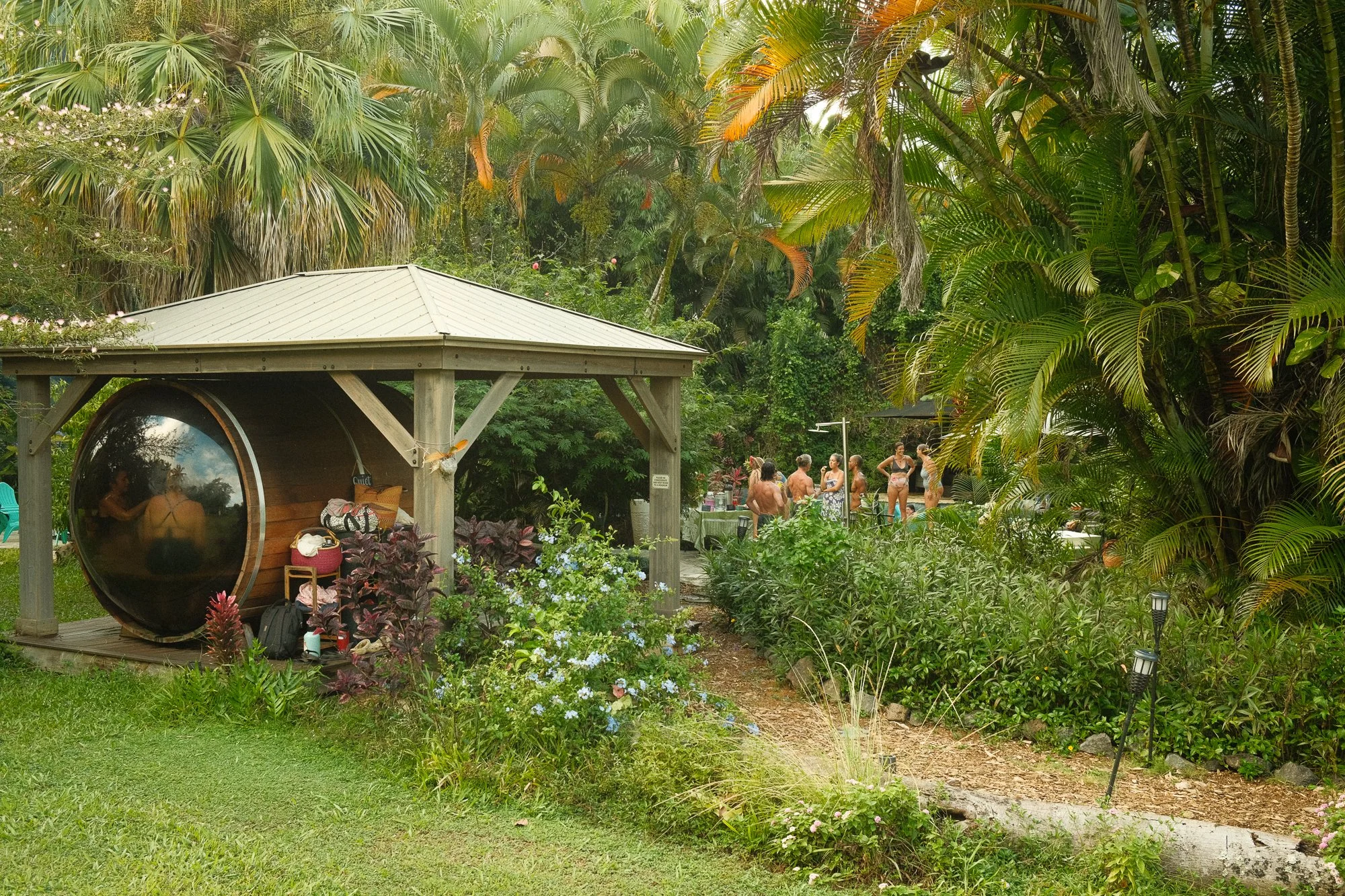 A backyard with lush tropical plants, a covered outdoor area with a mirrored circular wall, and a group of people in swimwear gathered near a pool.