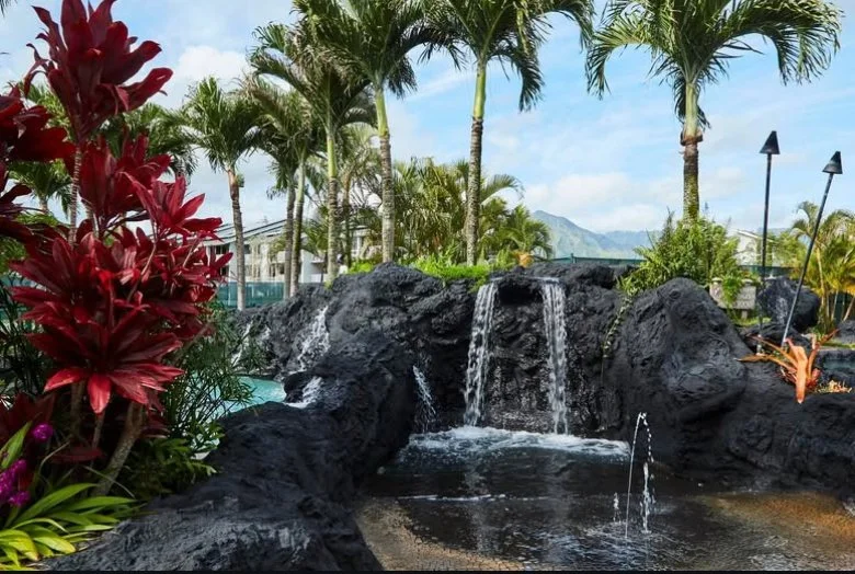 A tropical pool area with black rocks, small waterfall, tall palm trees, colorful plants, and lounge chairs with a mountain view in the background.
