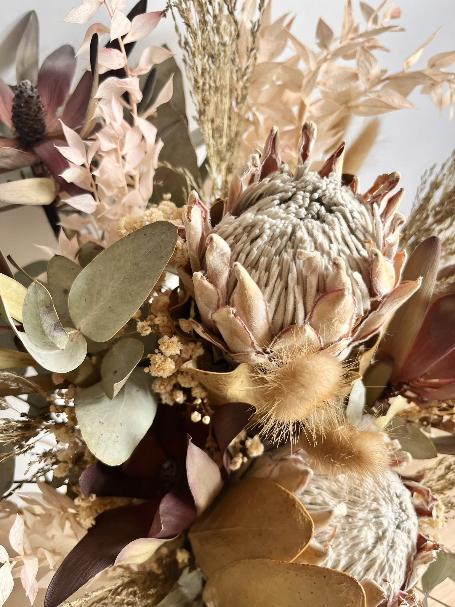 The Preserved Stem - Dried Bunch - King Protea5.JPEG