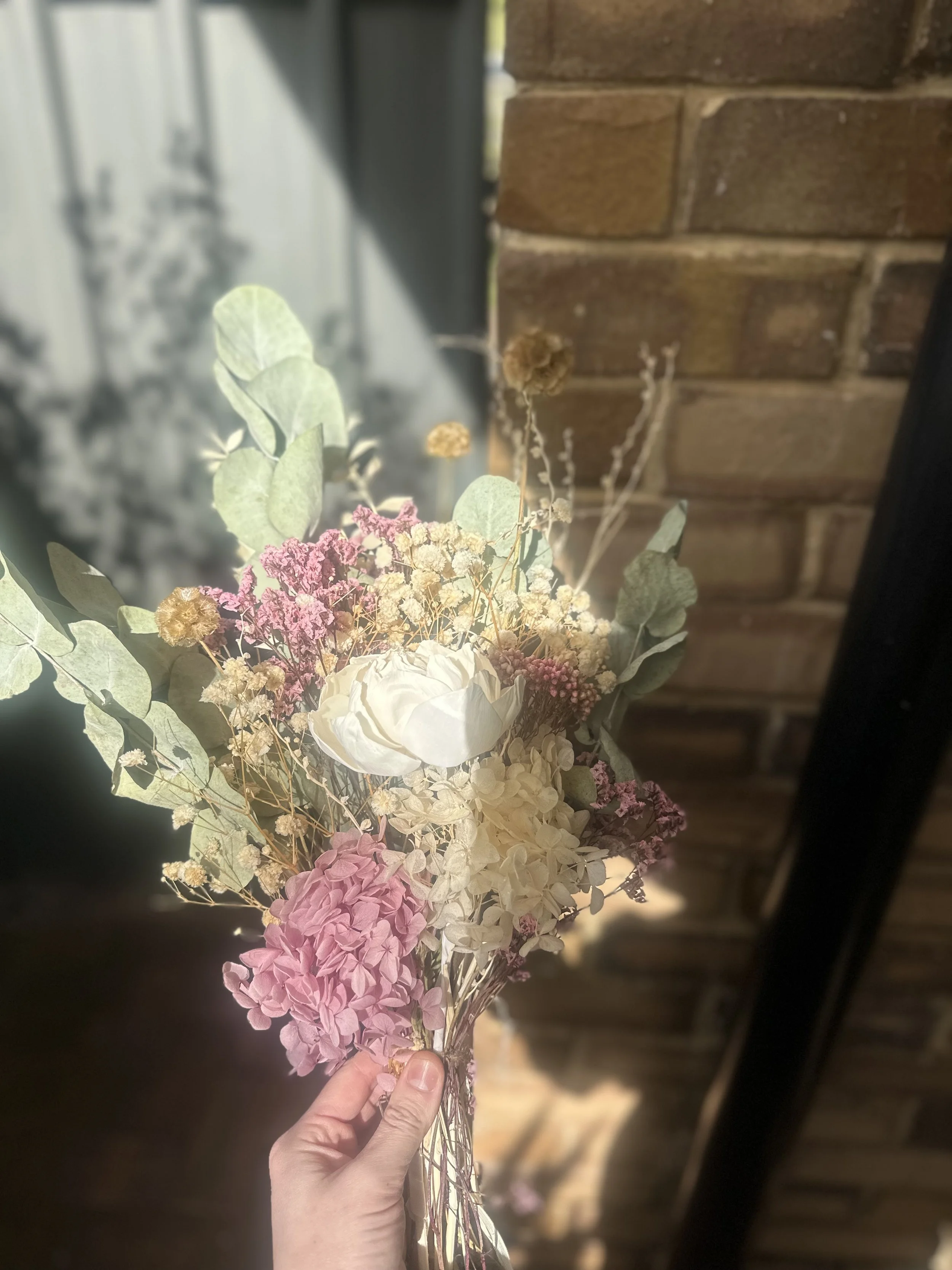 IMG_3977.jpeg