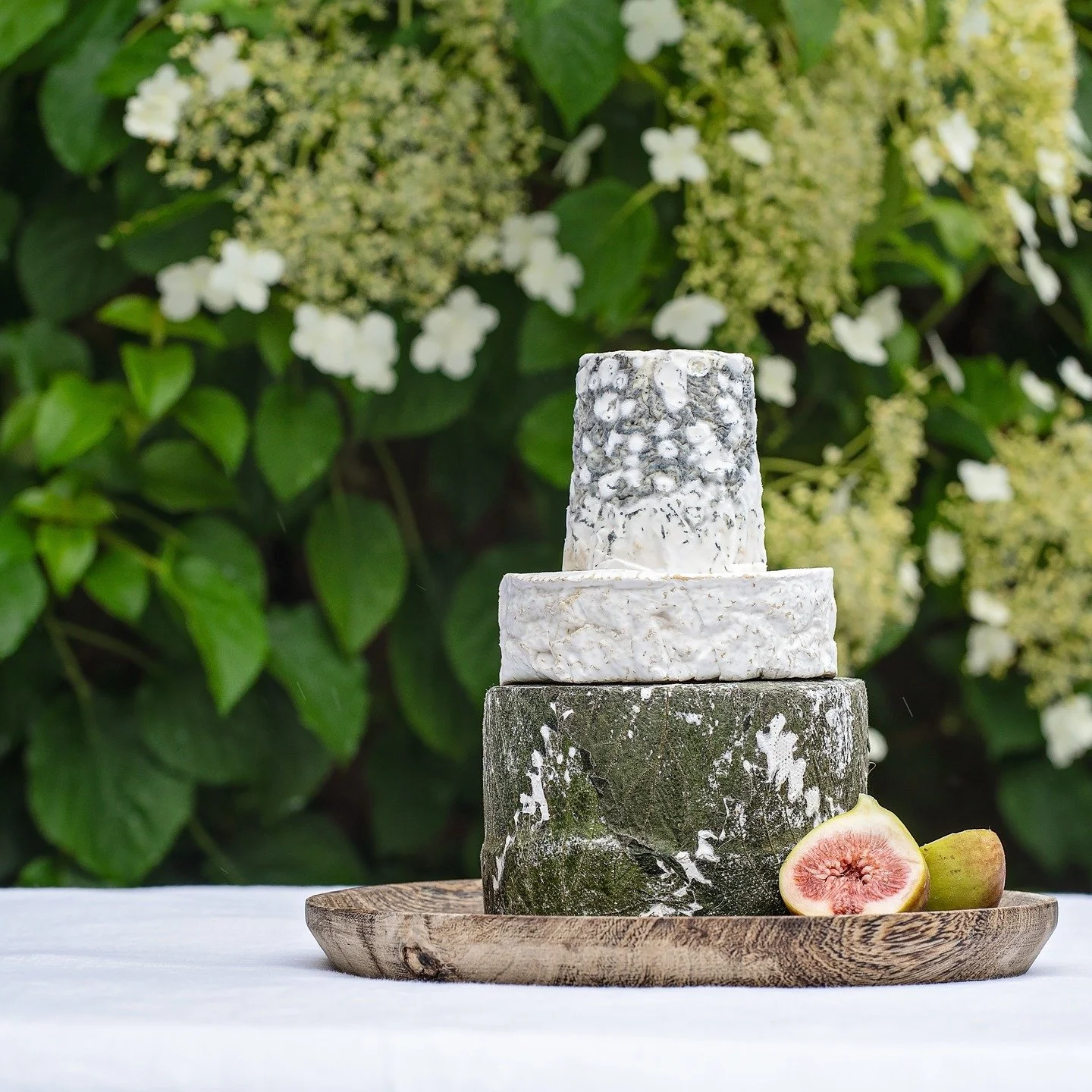 CELEBRATION CAKES:

Whether you're planning a wedding or celebration a special occasion we can help with a show-stopping cheese cake!

Our range of celebration cakes are available to order via the website or book a tasting and we can curate a bespoke