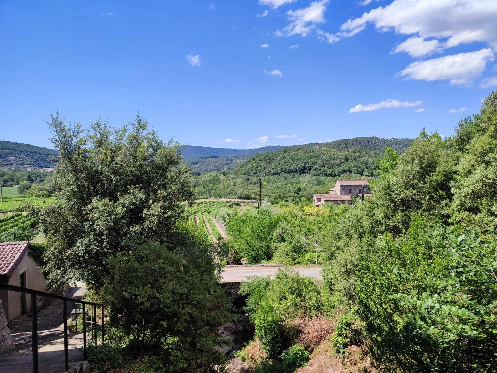 Aqua Terra Silva - Vue sur la campagne depuis la chambre