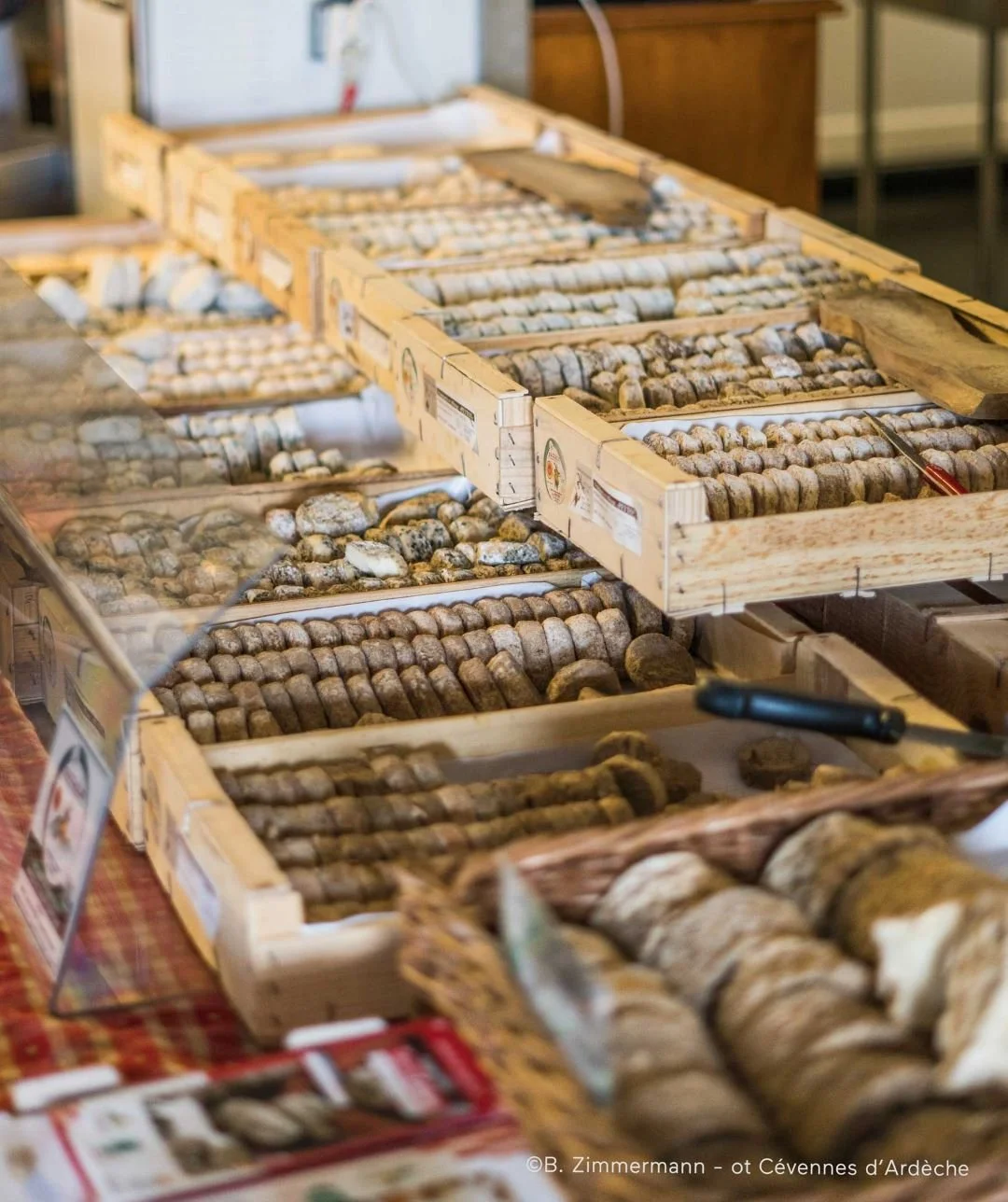 Terra Cabra, the Goat and Picodon Museum (Planzolles)