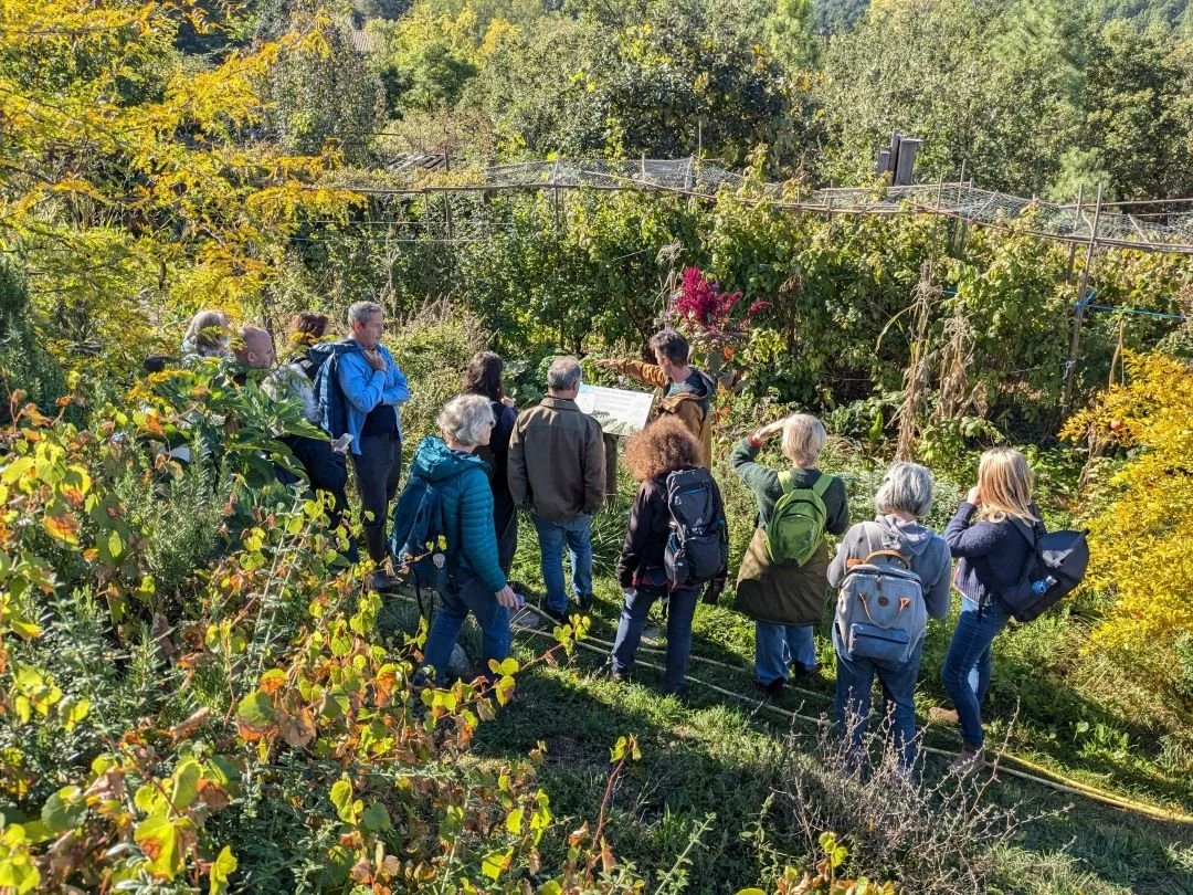 The gardens of Terre & Humanisme