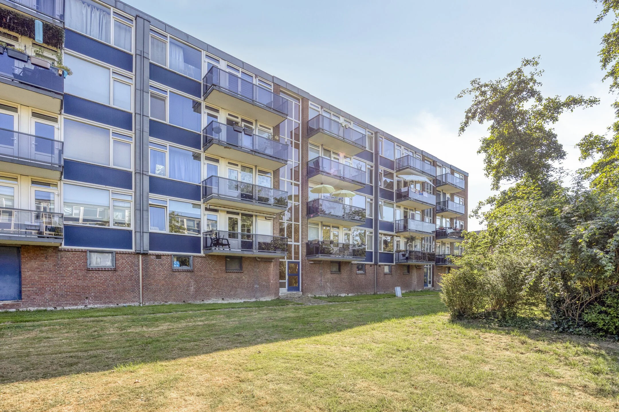 Groene omgeving rond de Albert Cuypstraat in Capelle aan den IJssel, op vijf minuten wandelen van metrostation Slotlaan en winkelcentrum Slotplein.