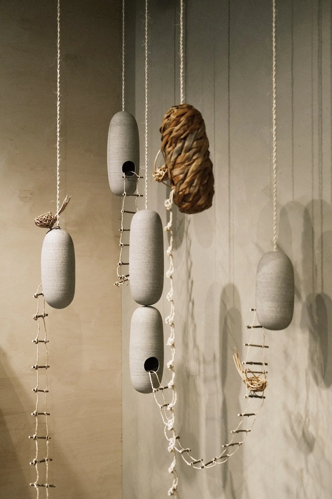 DSCF8595.jpg