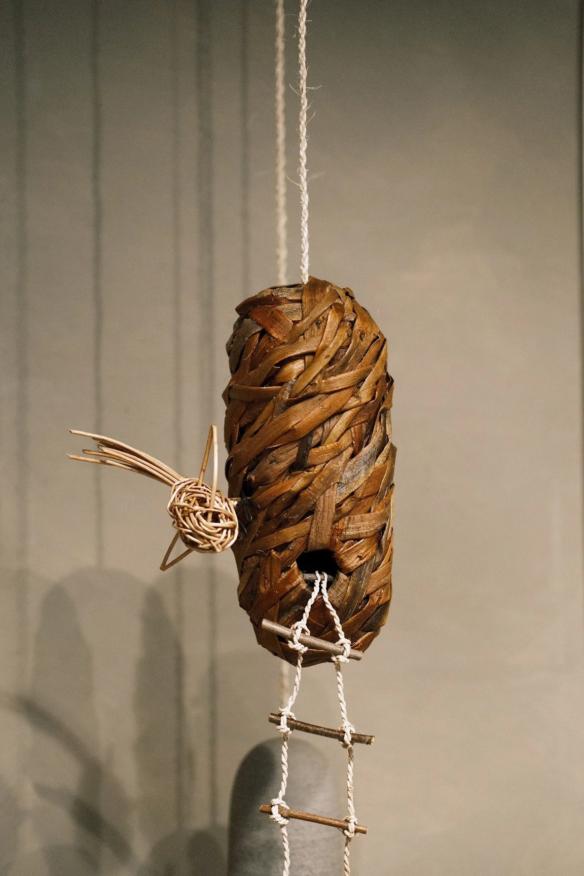 DSCF8603.jpg