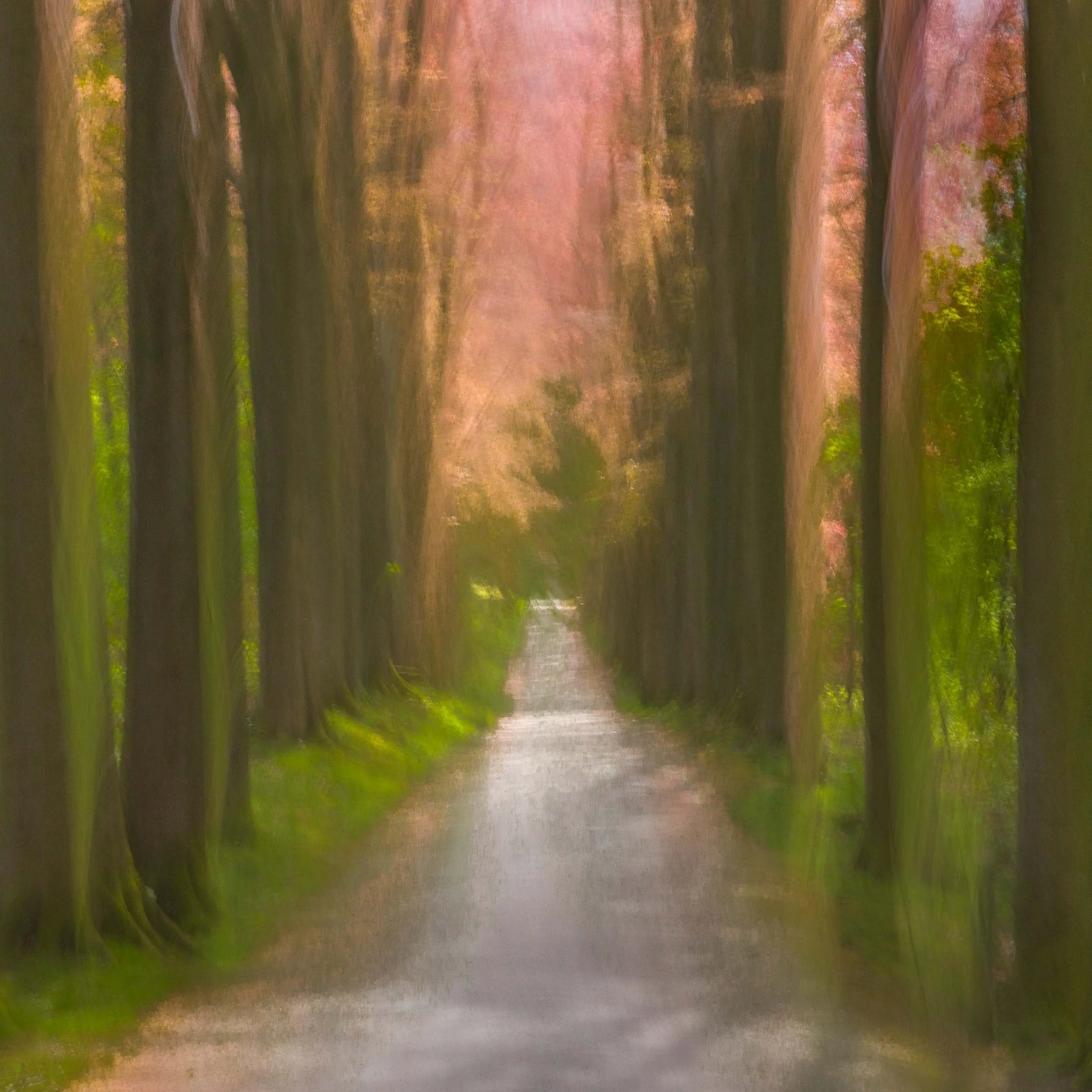 Tervuren, Belgium