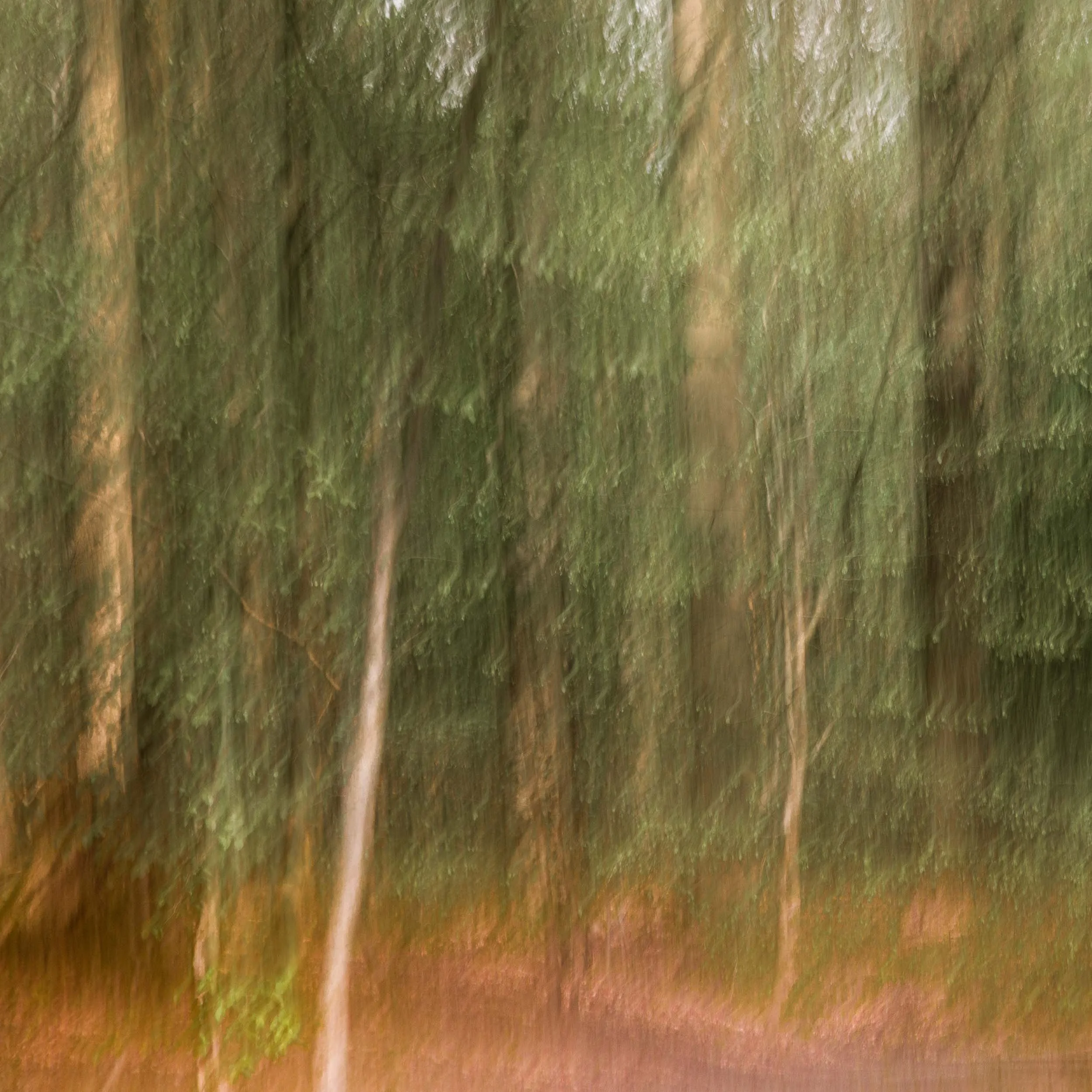 ICM (Intentional Camera Movement)