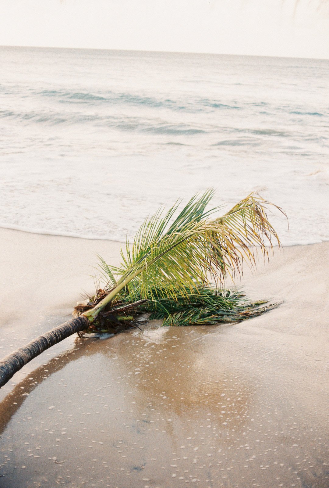 guadeloupe-121.jpg
