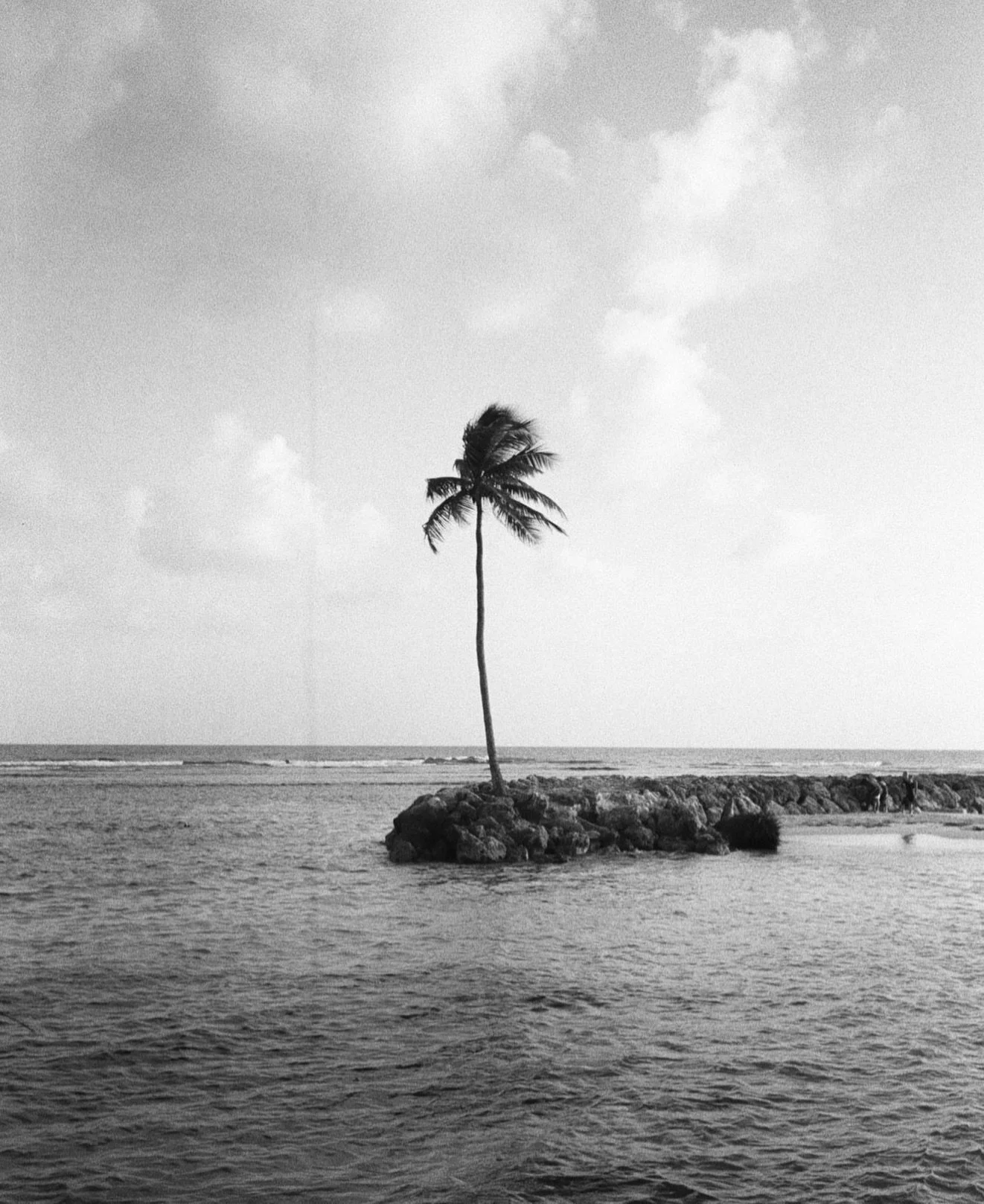Guadeloupe, retour aux sources &mdash; J-10 !
〰️
📷 #OlympusXA2
🎞 #IlfordXP5