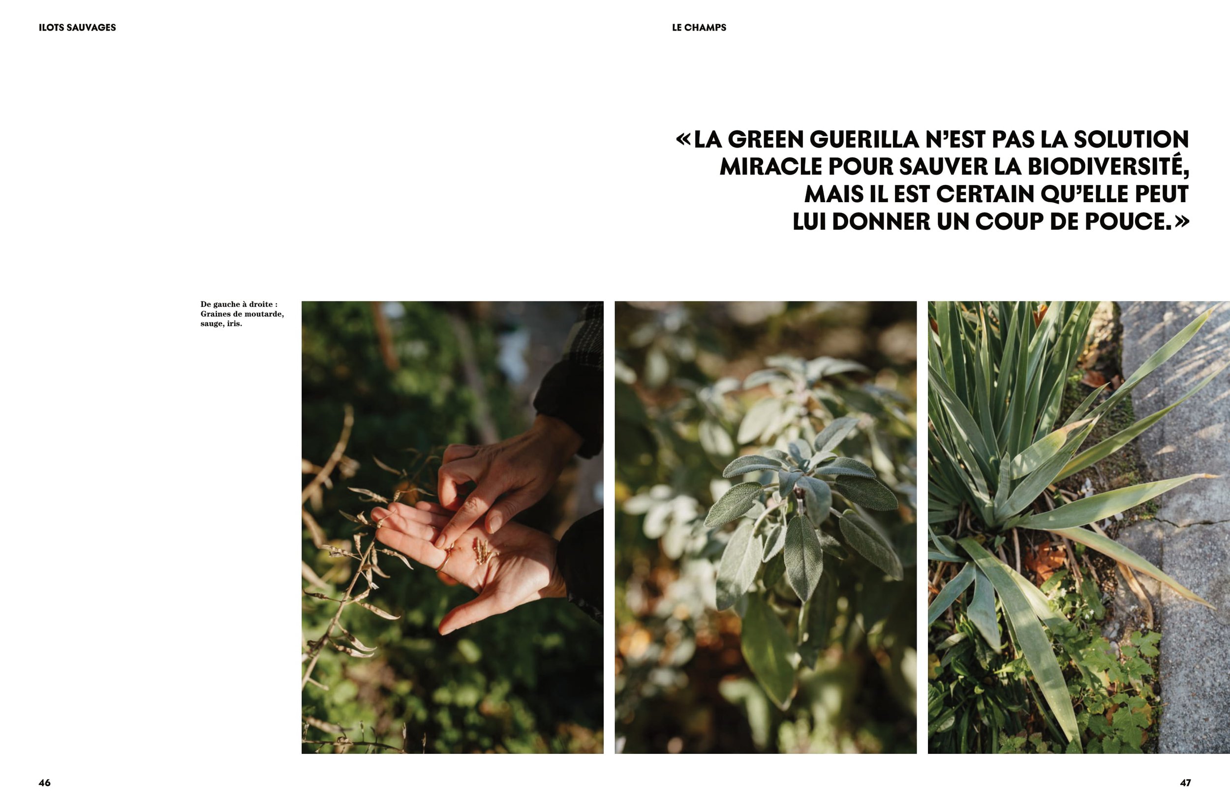 ophelie-ta-mere-nature-ilots-magazine-4.jpg