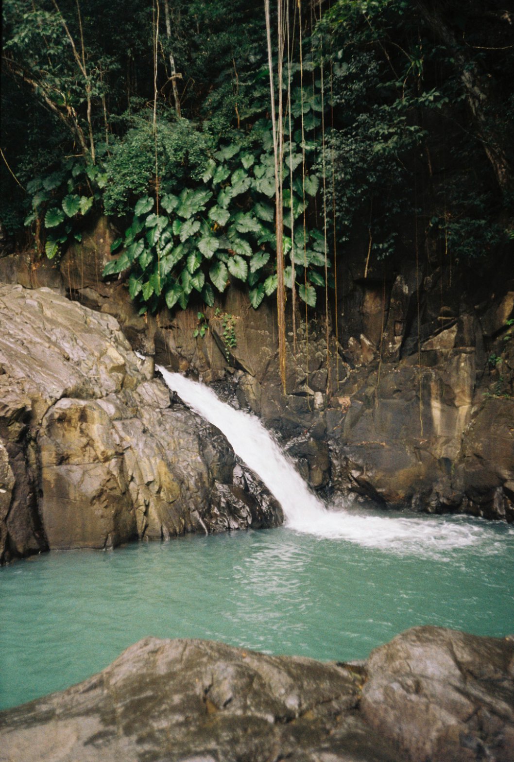 guadeloupe-83.jpg