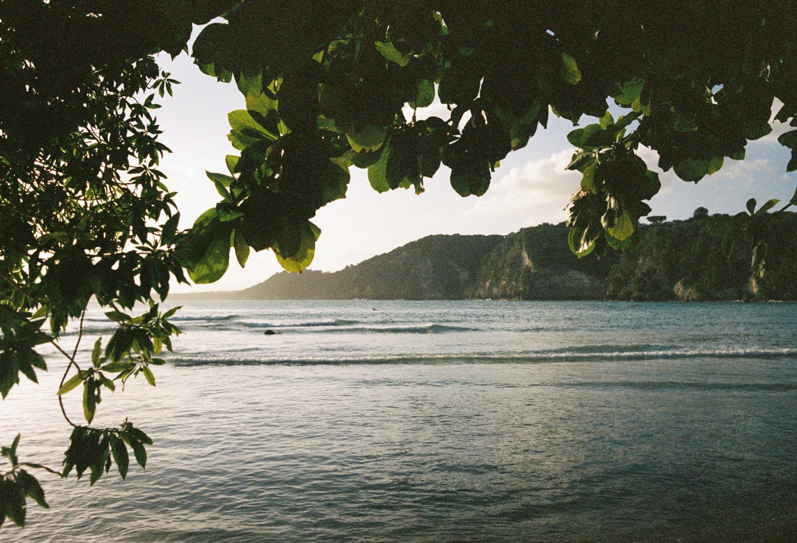guadeloupe-2022-110.jpg
