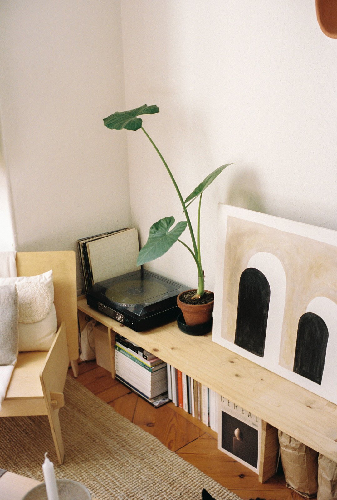 margaux-sacaze-diverse-maison-7.jpeg