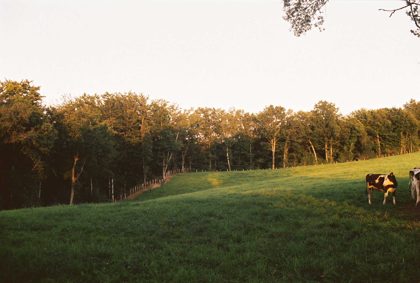 estal-11.jpg