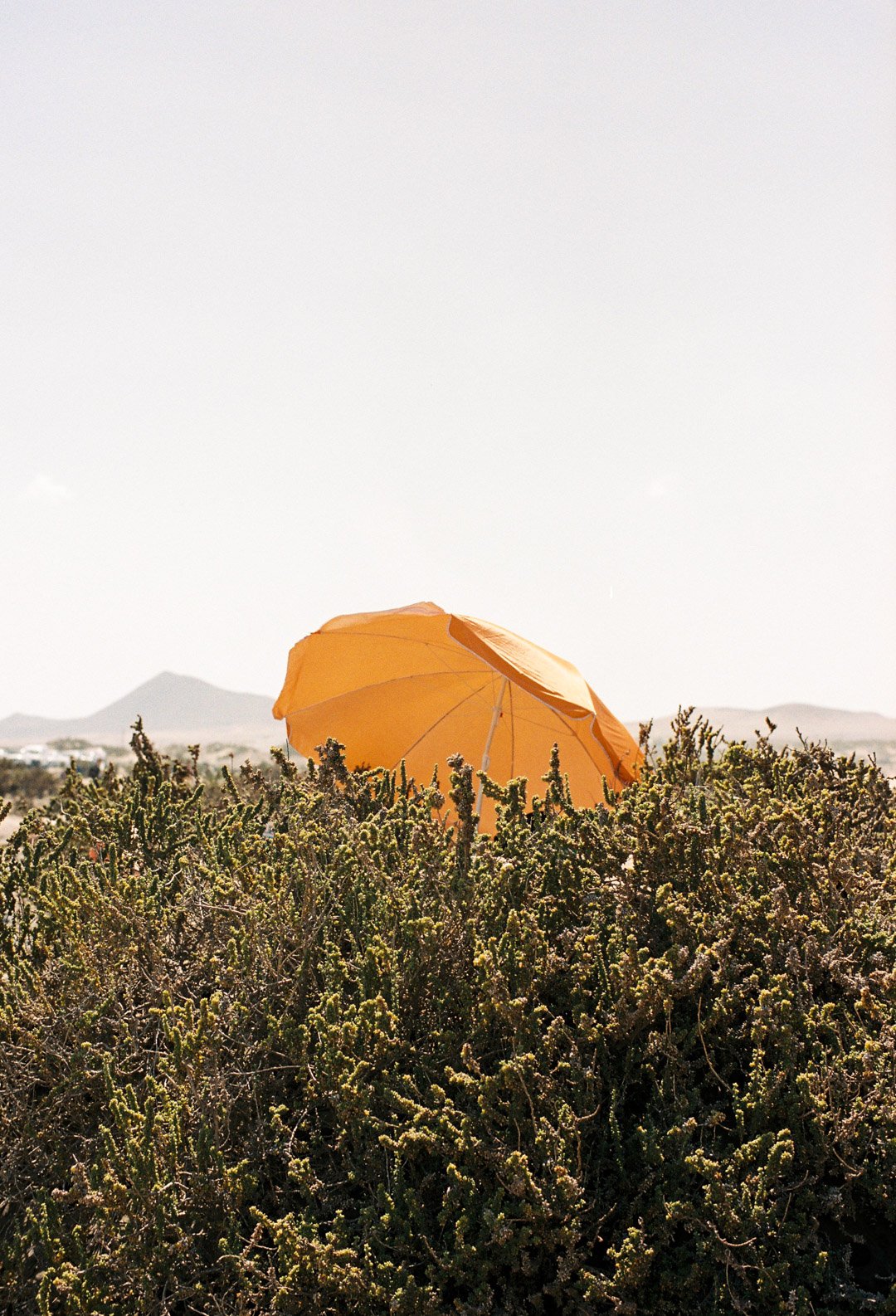 lanzarote-179.jpg