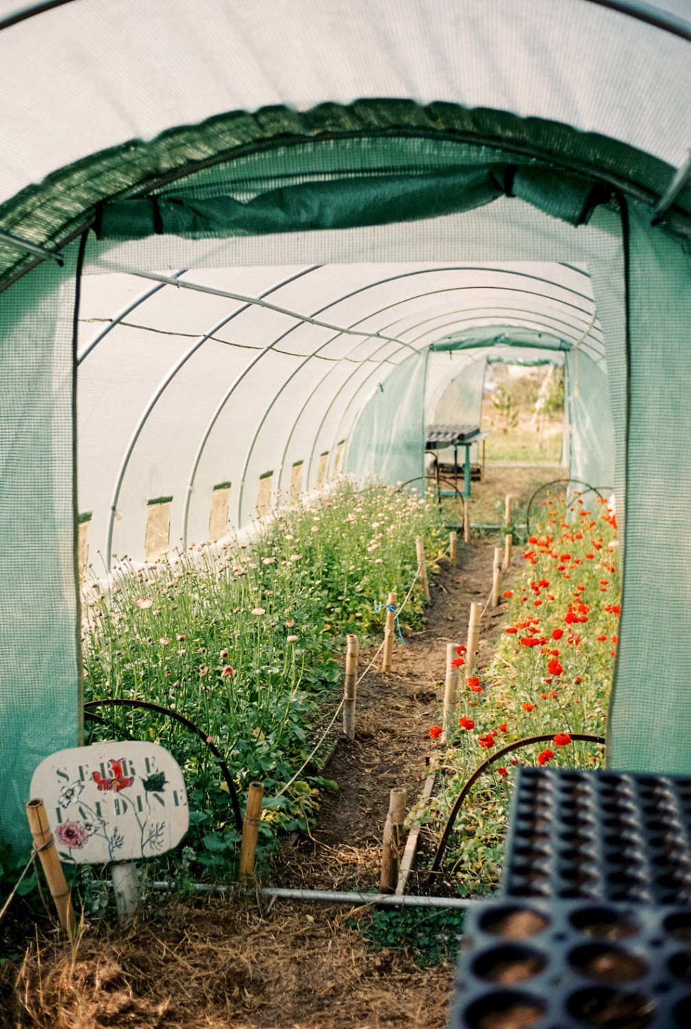 ferme-busquet-27.jpg