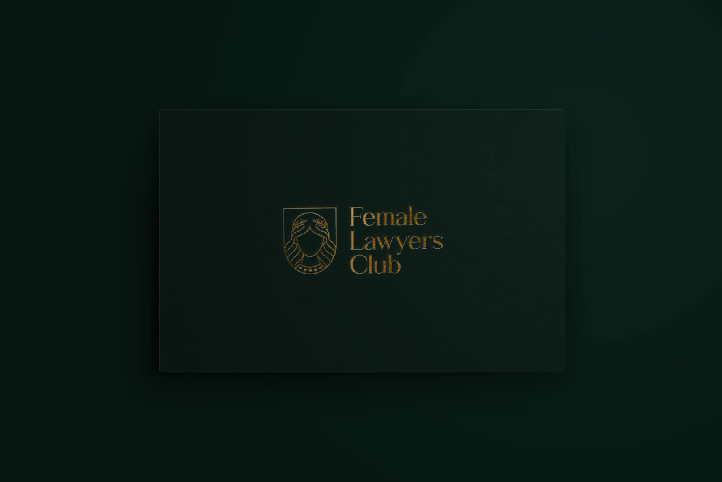 Female Lawyers' Club