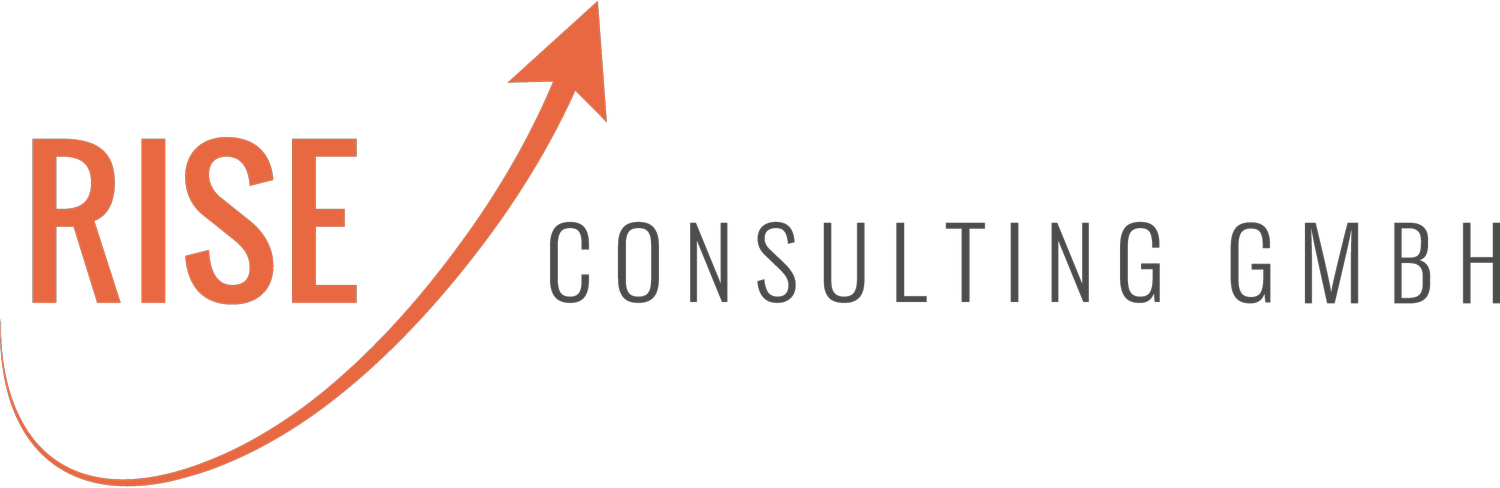 RISE Consulting 