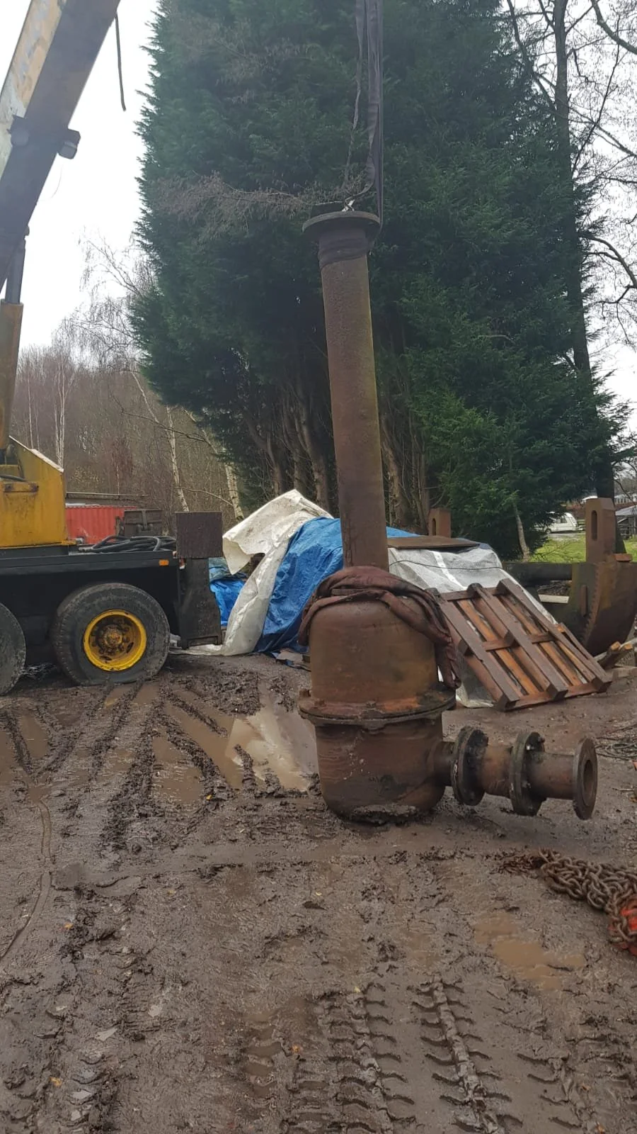 WhatsApp Image 2021-04-21 at 17.30.28 (3).jpeg