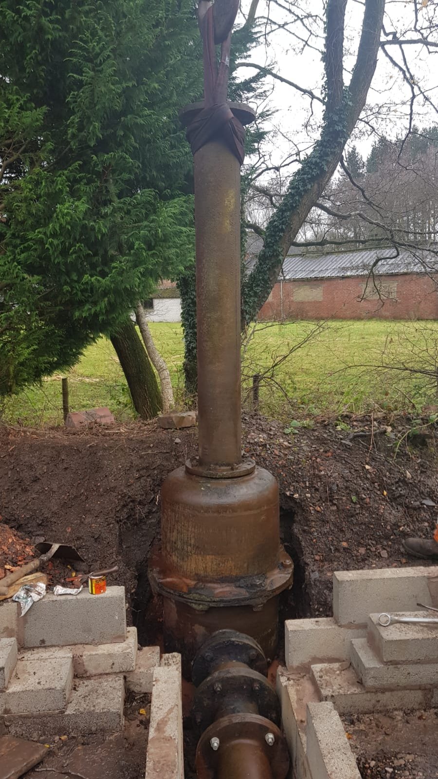 WhatsApp Image 2021-04-21 at 17.30.29 (4).jpeg