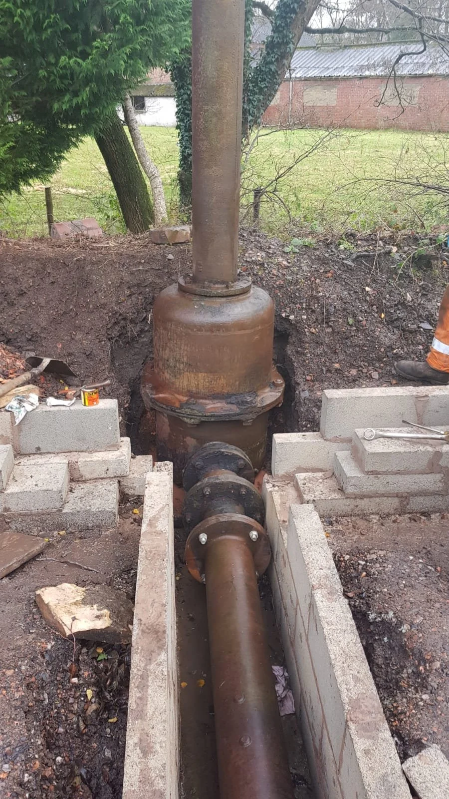 WhatsApp Image 2021-04-21 at 17.30.29 (3).jpeg