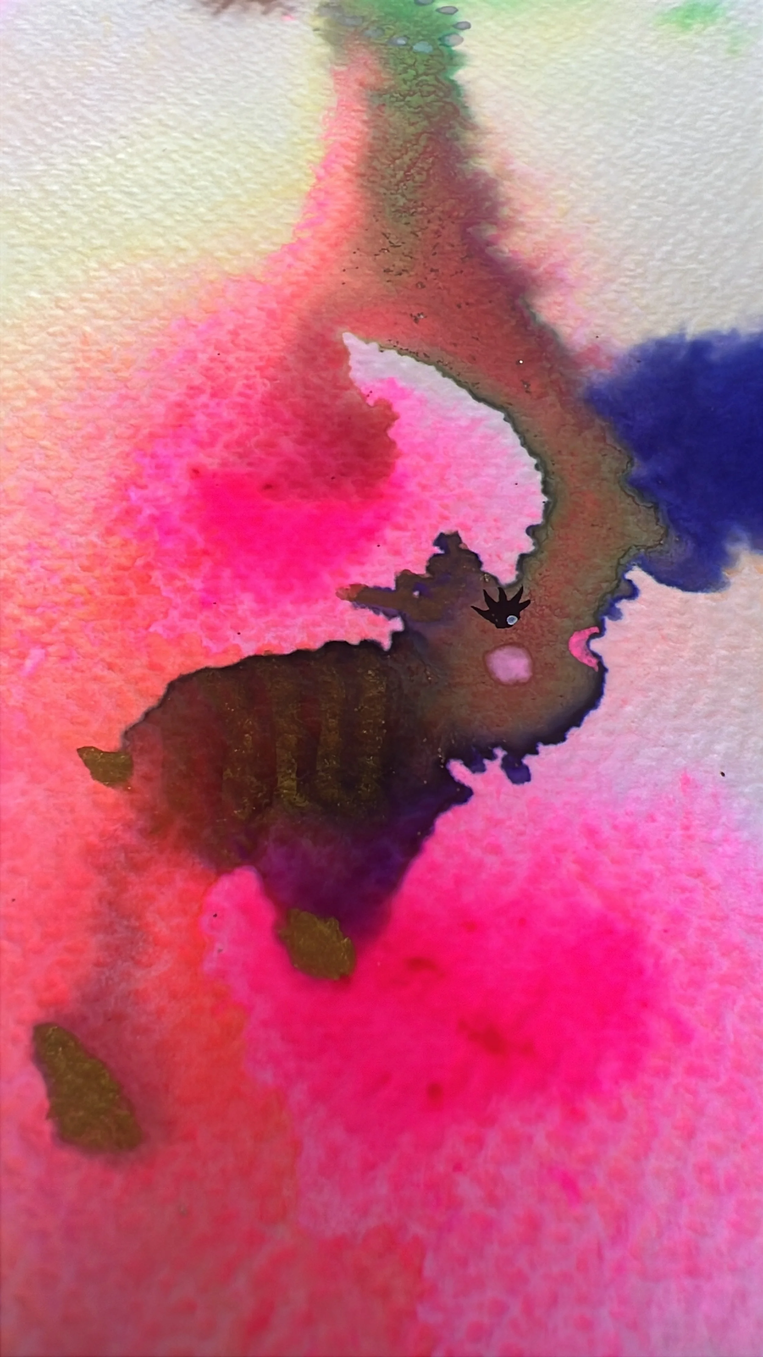 5D72D295-A412-469E-A901-DE118E46C451.jpeg