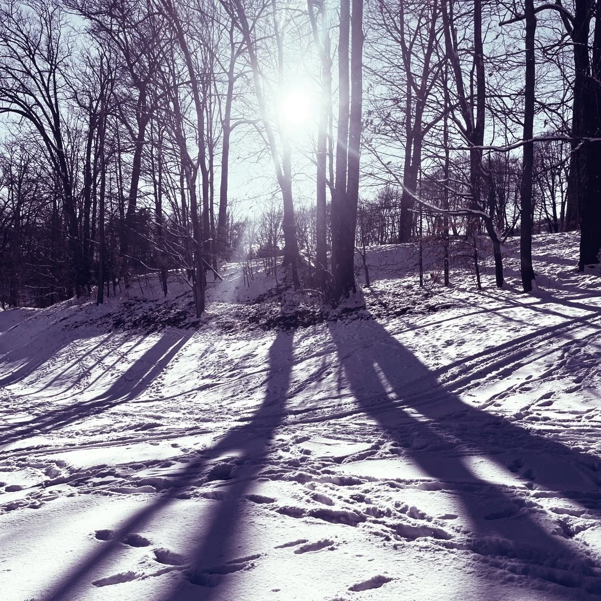 We need you to try it