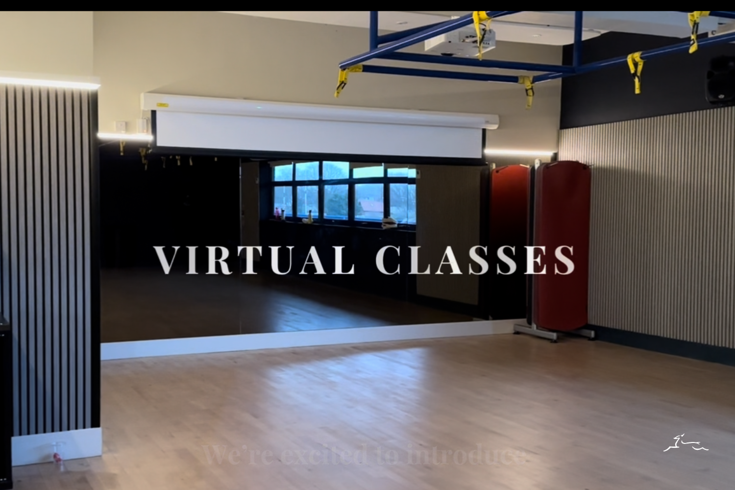 What are Les Mills Virtual Classes and how do they work?