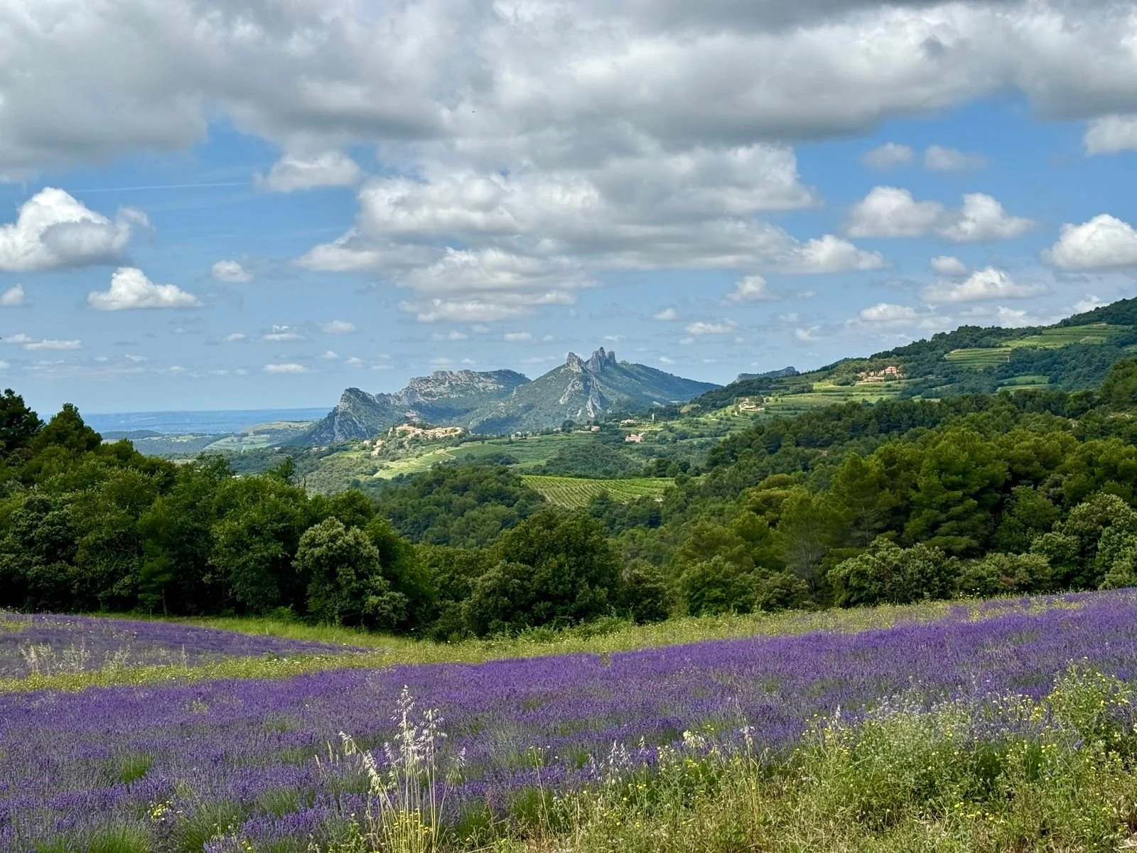 Vistas "Dentelles de Montmirail"