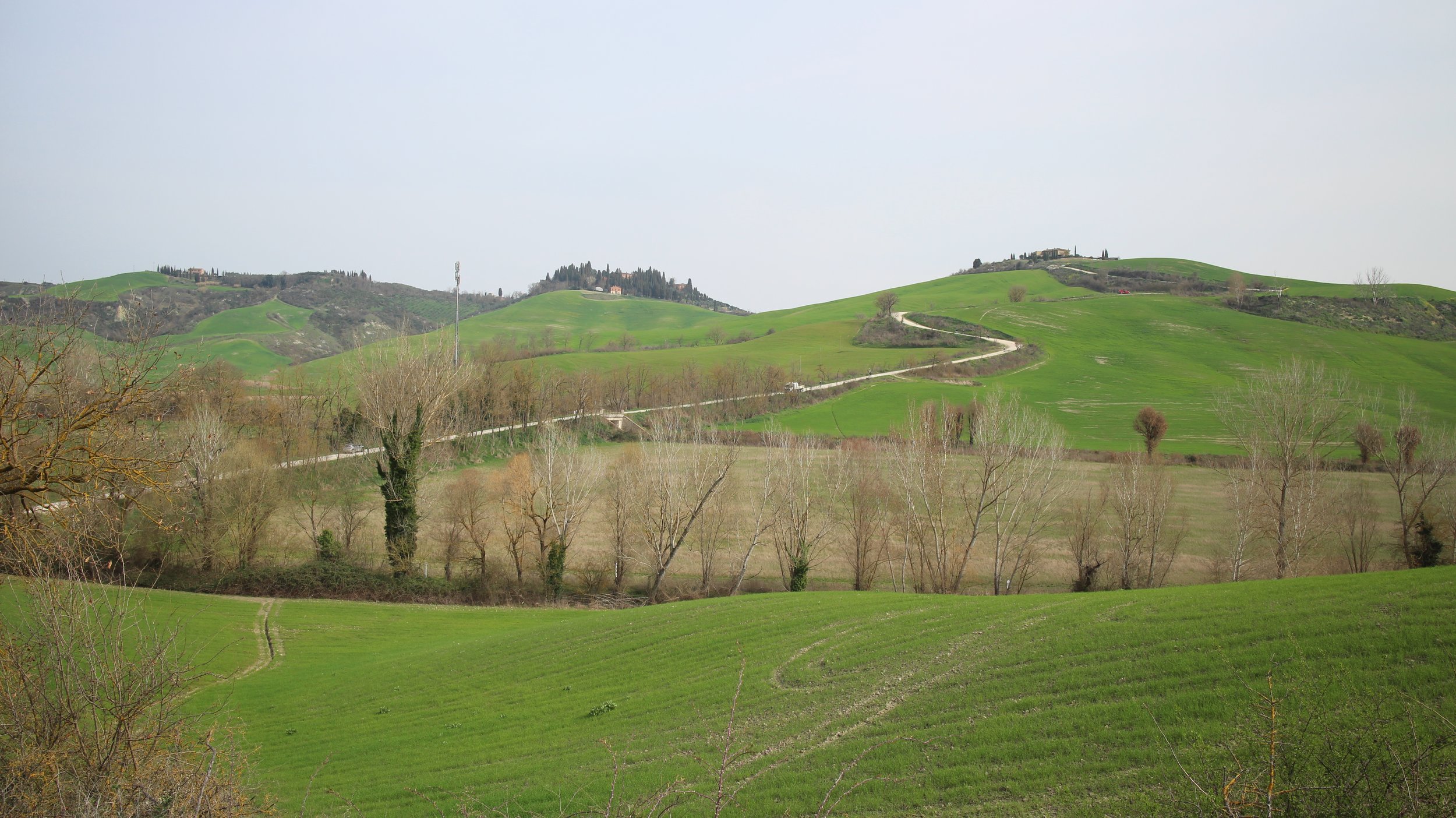 Paisagem de colinas verdes com caminhos e árvores, céu nublado.