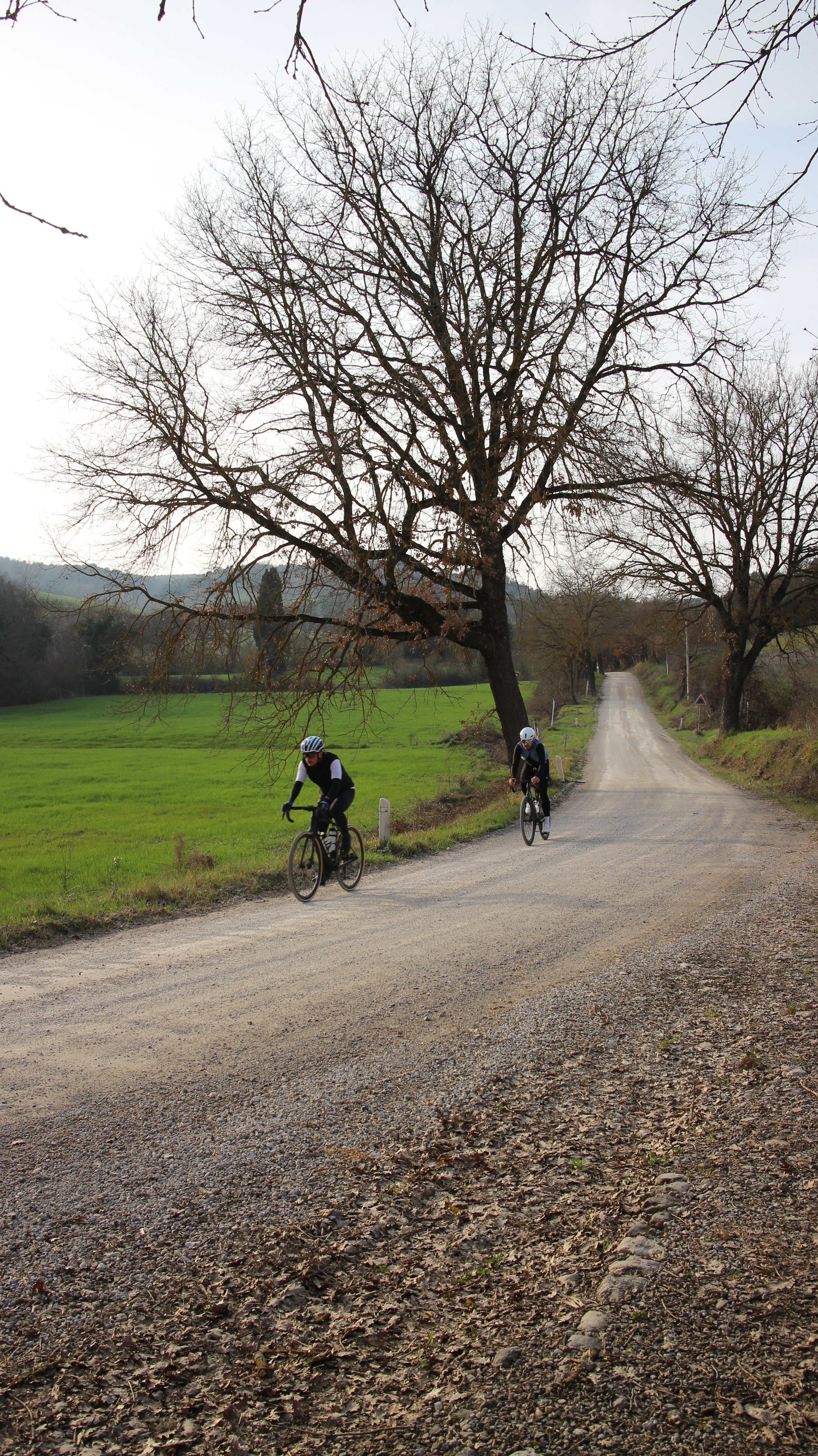 Dois ciclistas passando por um caminho de terra em uma paisagem rural, árvores sem folhas e campos verdes ao redor.