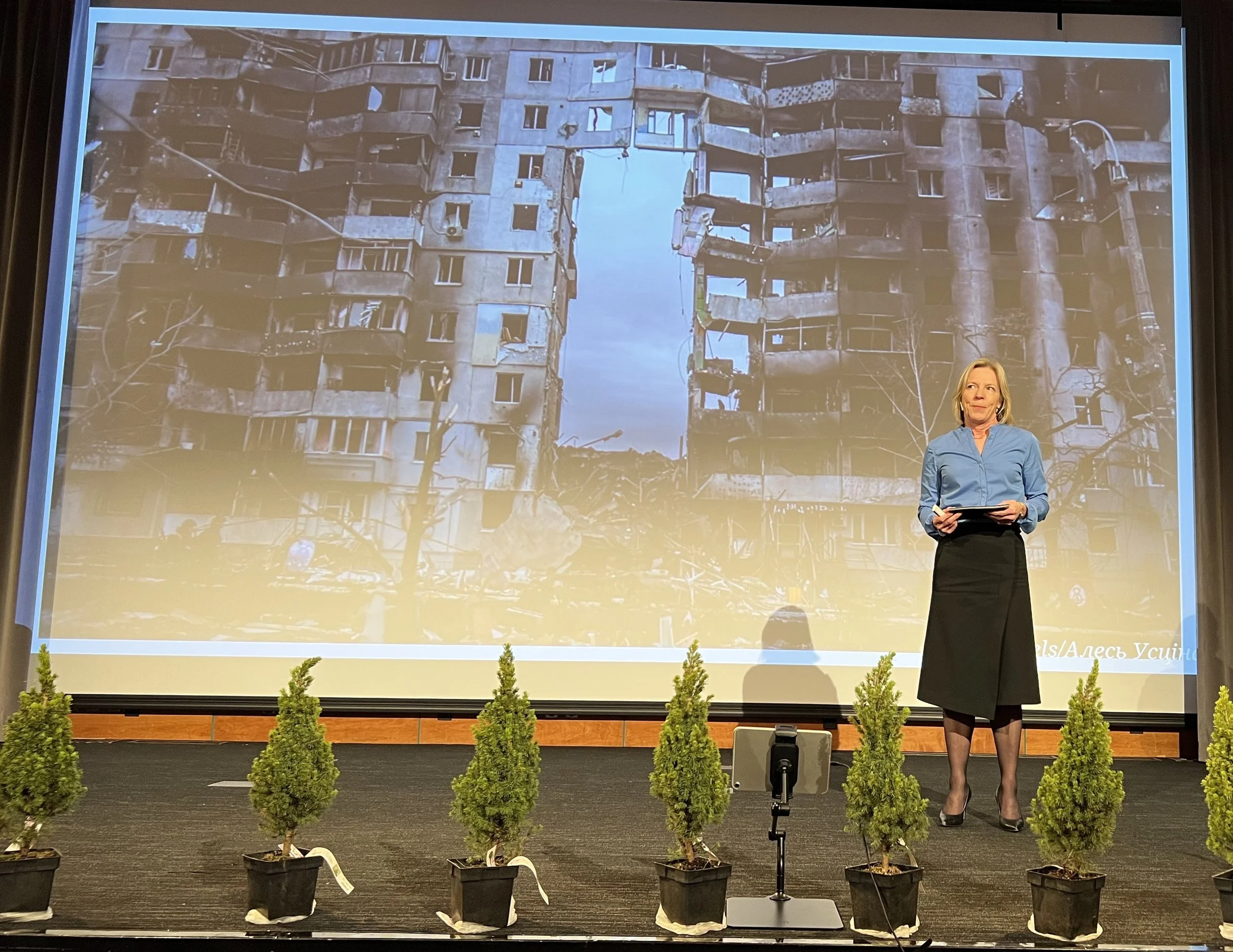 Dystert bakteppe for Forsvarskonferansen