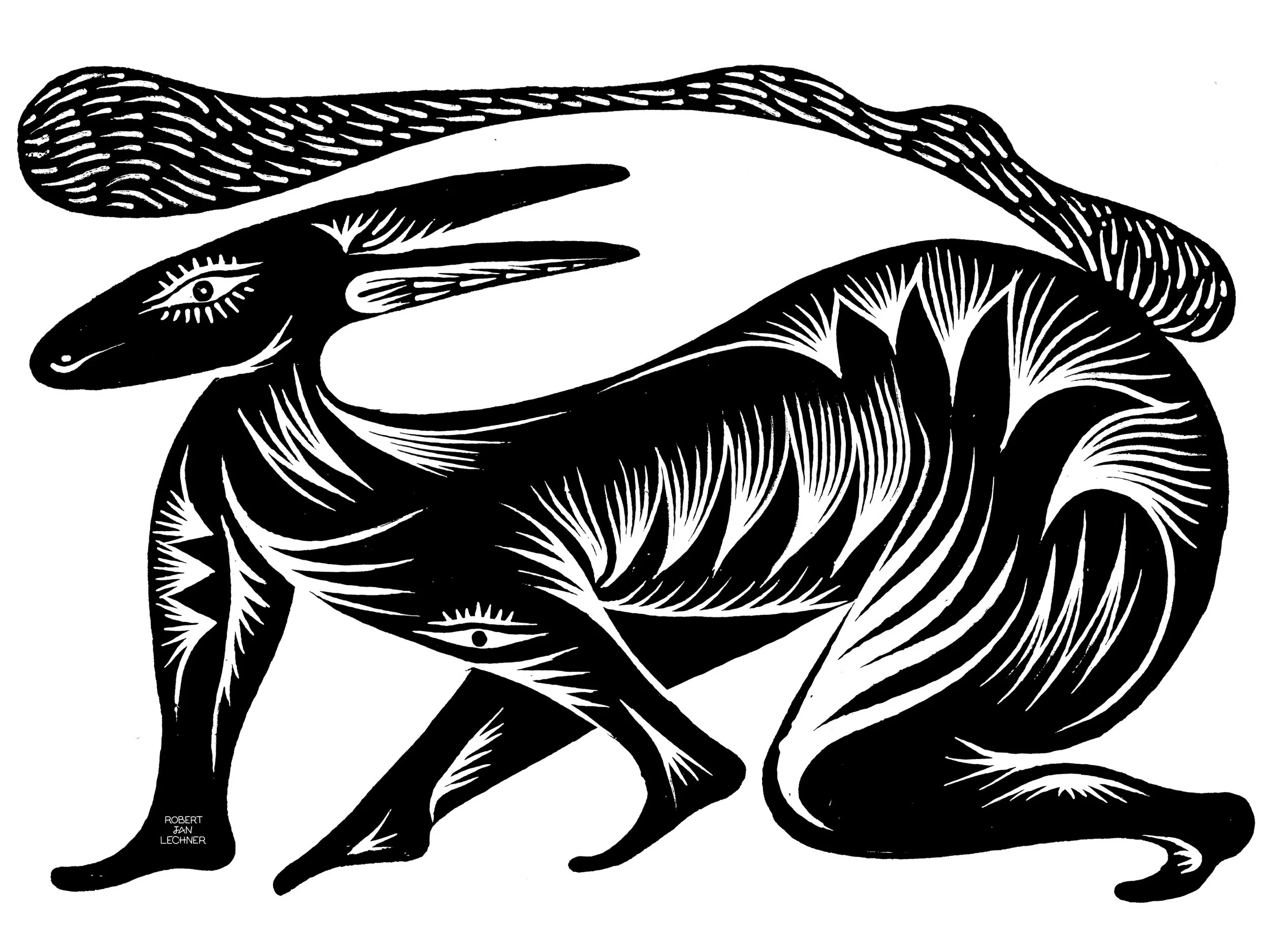 Black hare   Personal work.