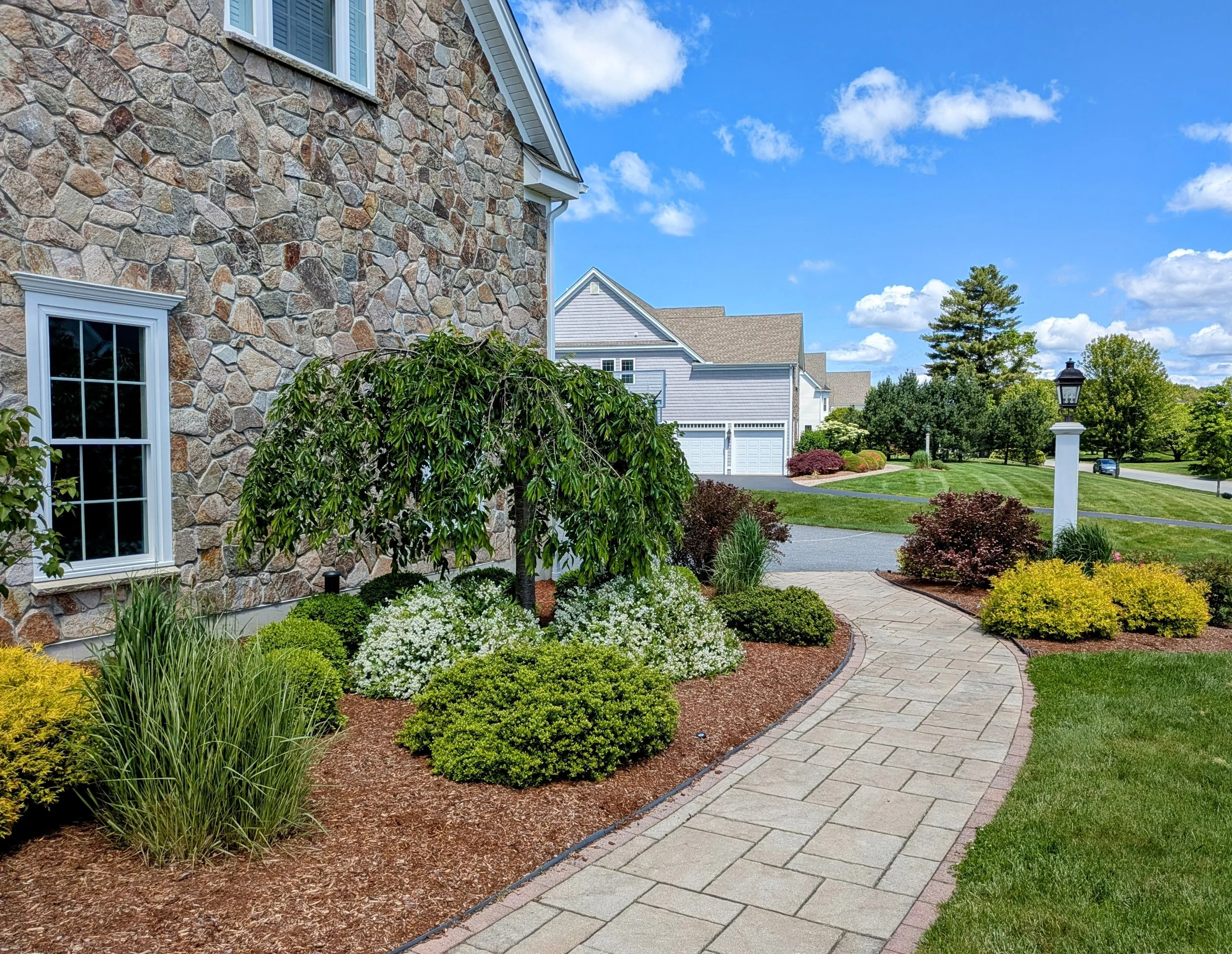 Setting the Stage for Spring: Why a Thorough Spring Clean-Up Matters