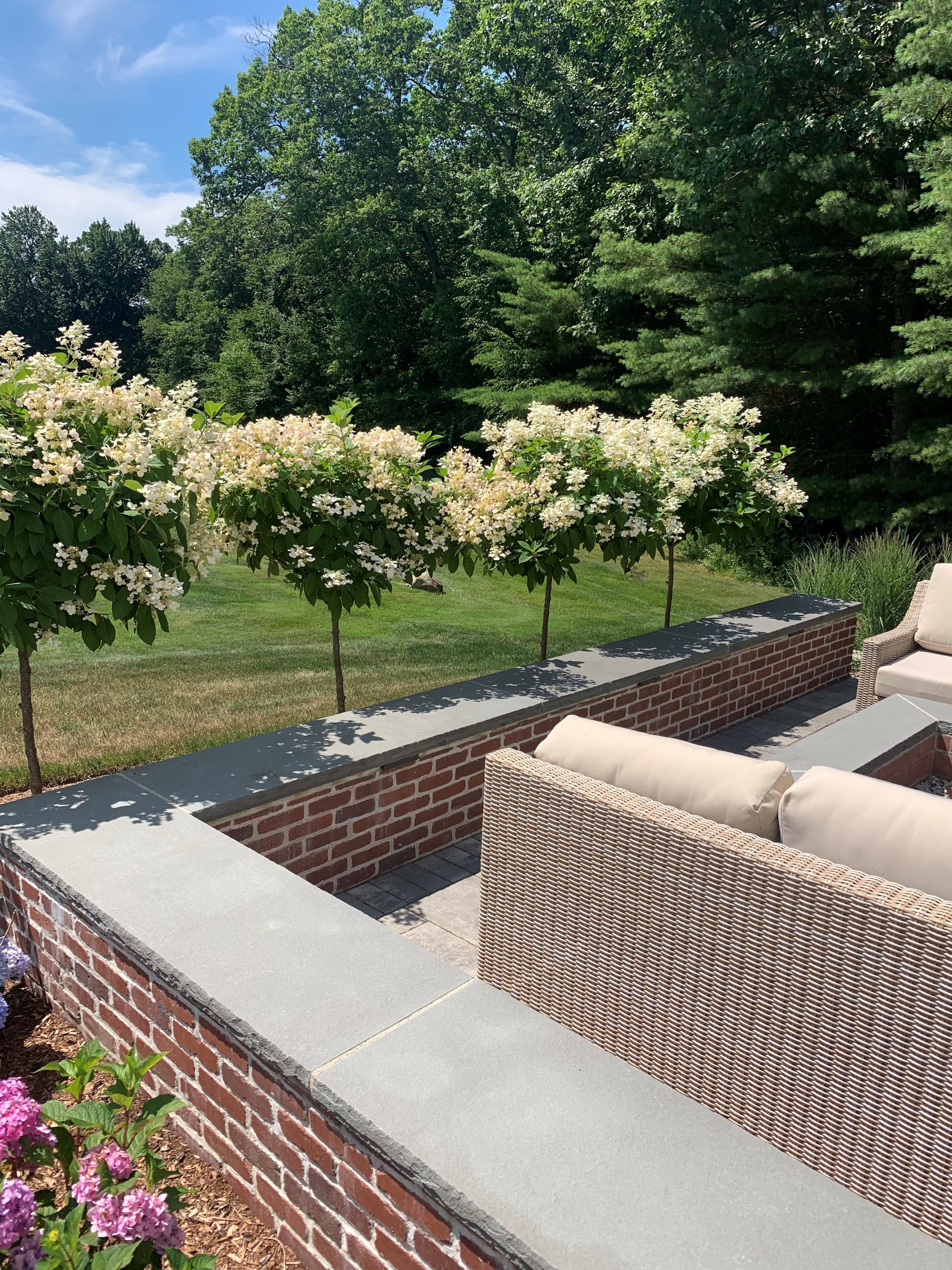 fall clean-up services, fall landscape clean-up, winter plant protection