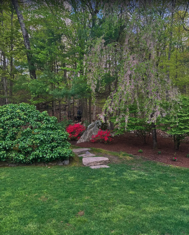 Screenshot 2025-05-30 at 12.08.51 PM.png