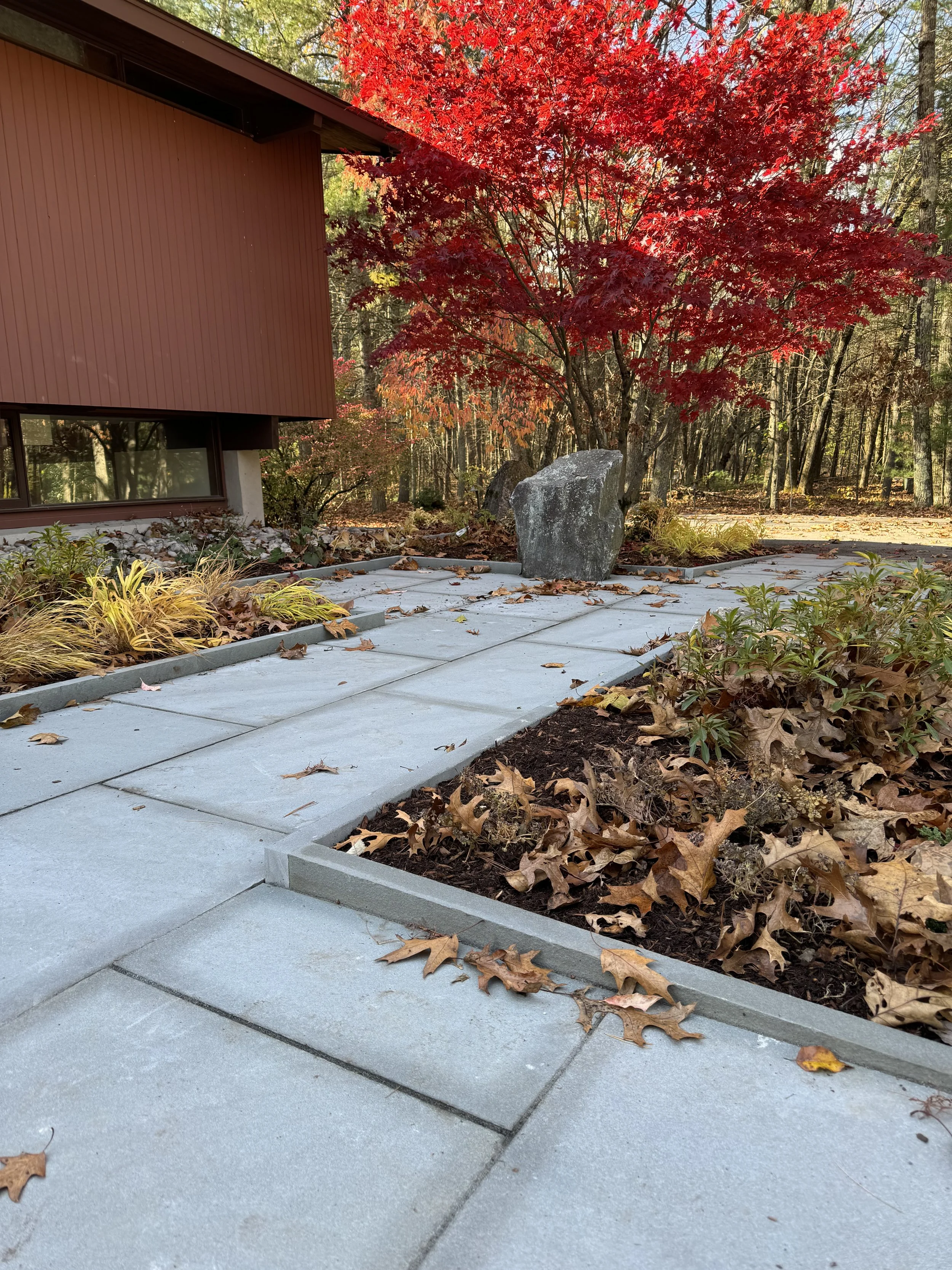fall planting, landscape plantings, landscape design