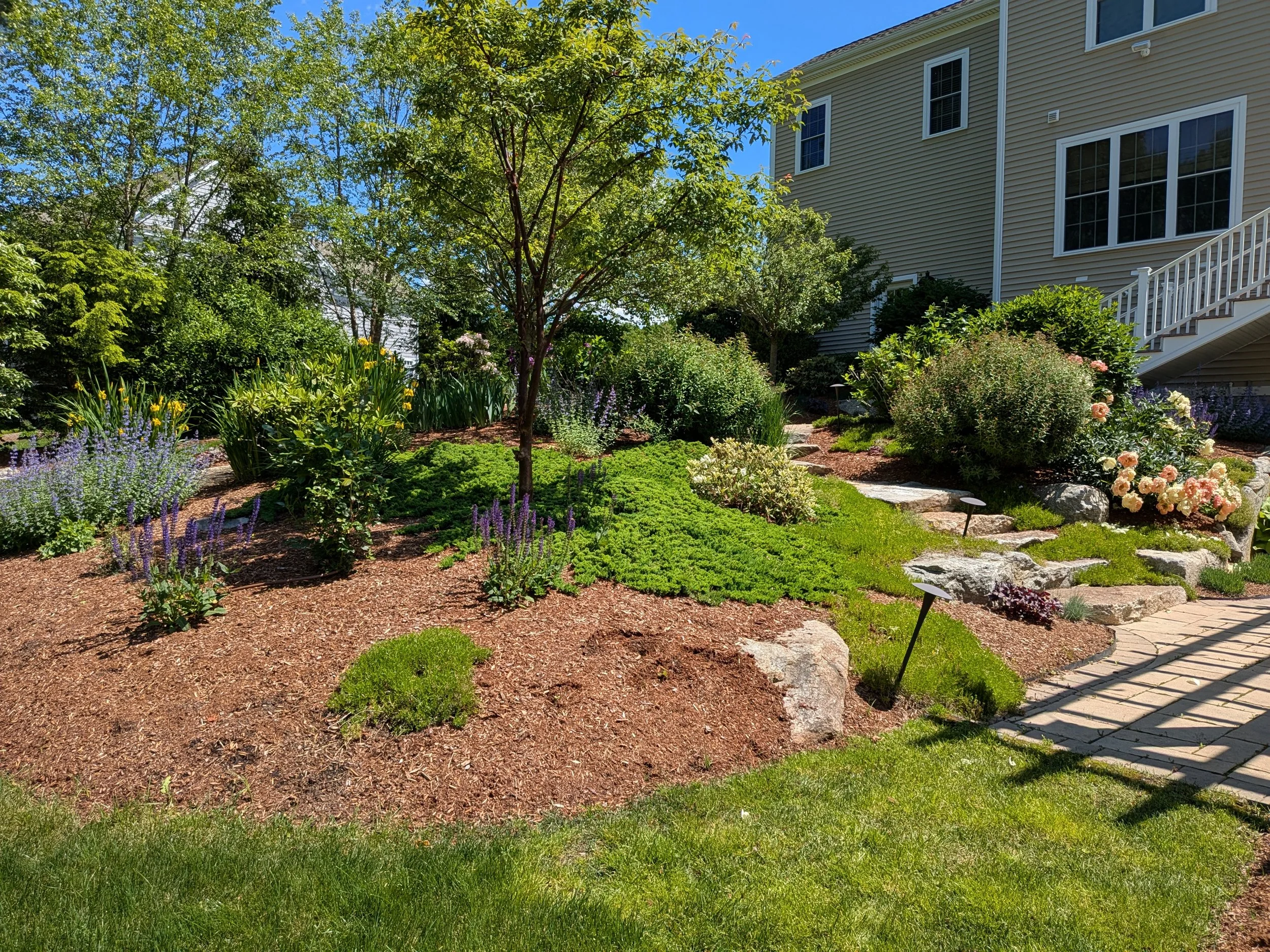 fine gardening services, landscape maintenance, garden care, seasonal maintenance