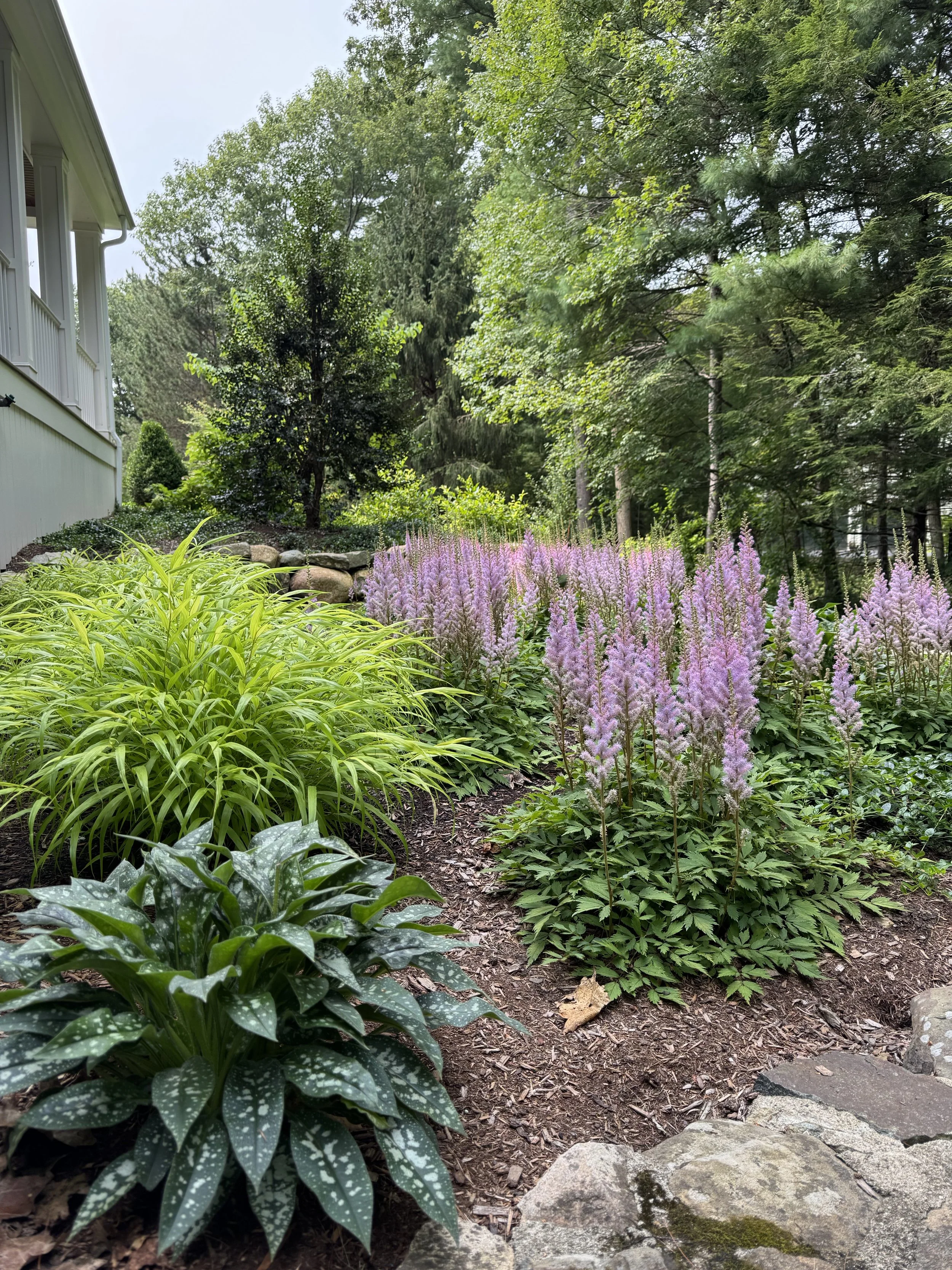 Holliston Landscapers Garden Ladscaping with How to choose plants