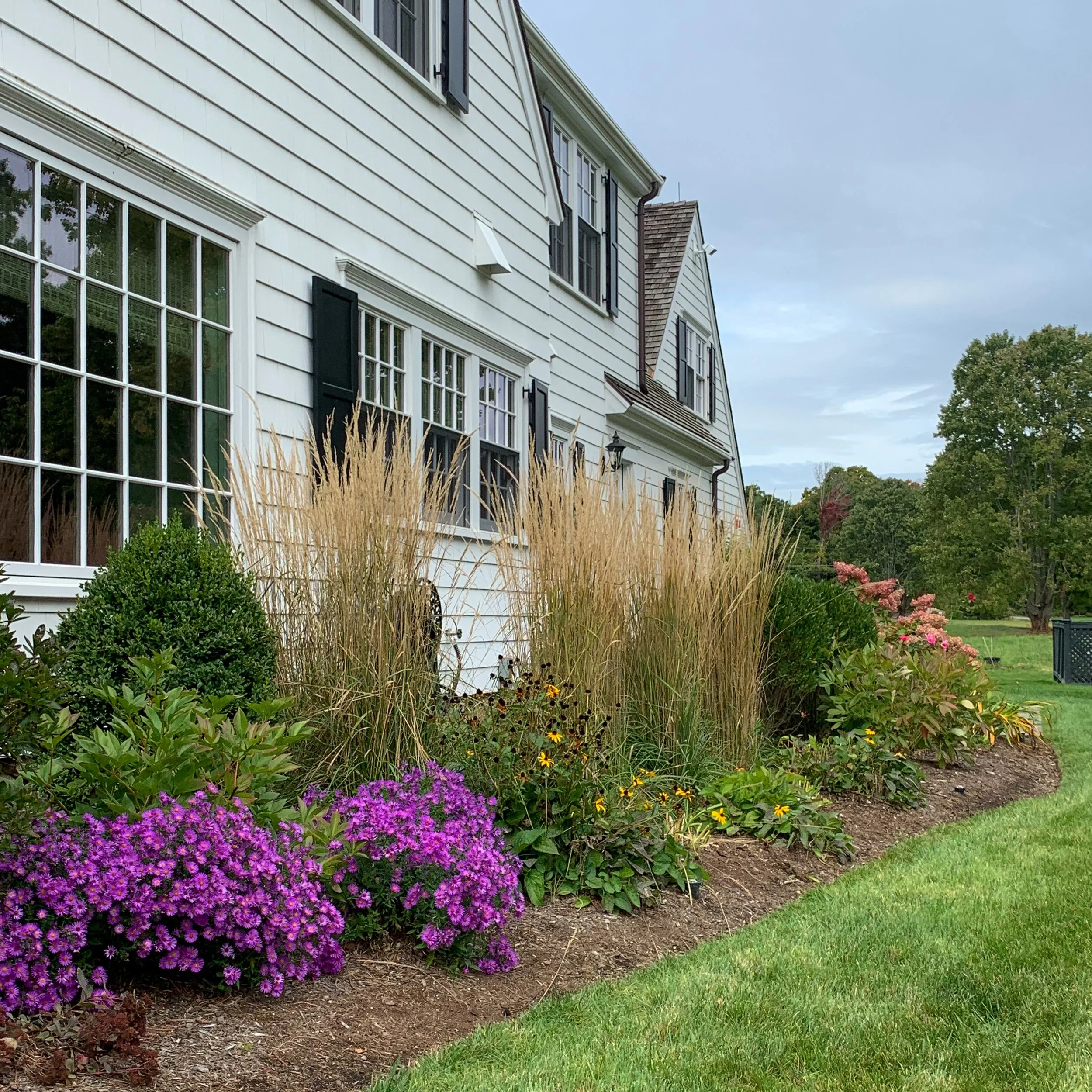 fall planting, landscape plantings, landscape design