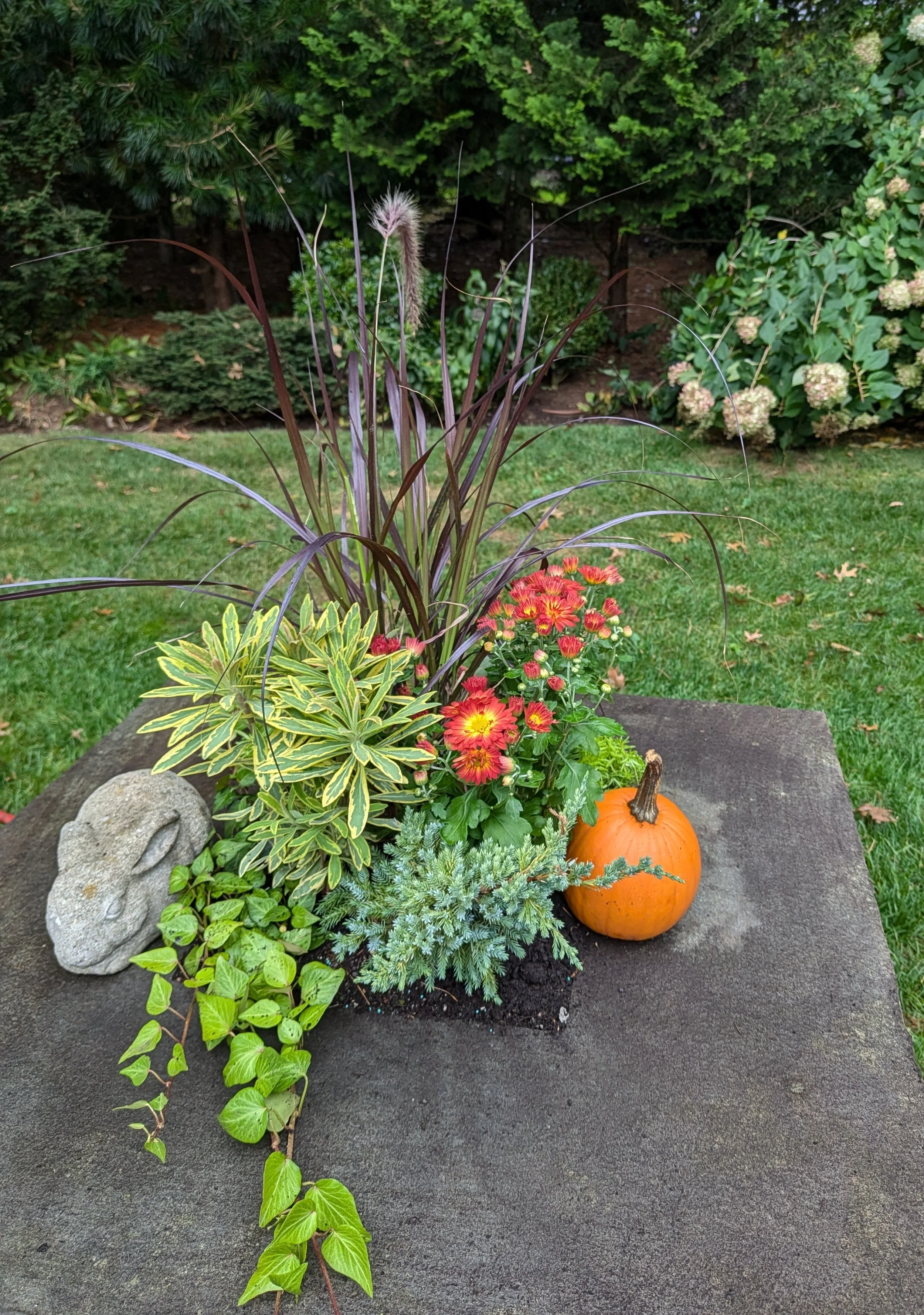 fall clean-up services, fall landscape clean-up, winter plant protection