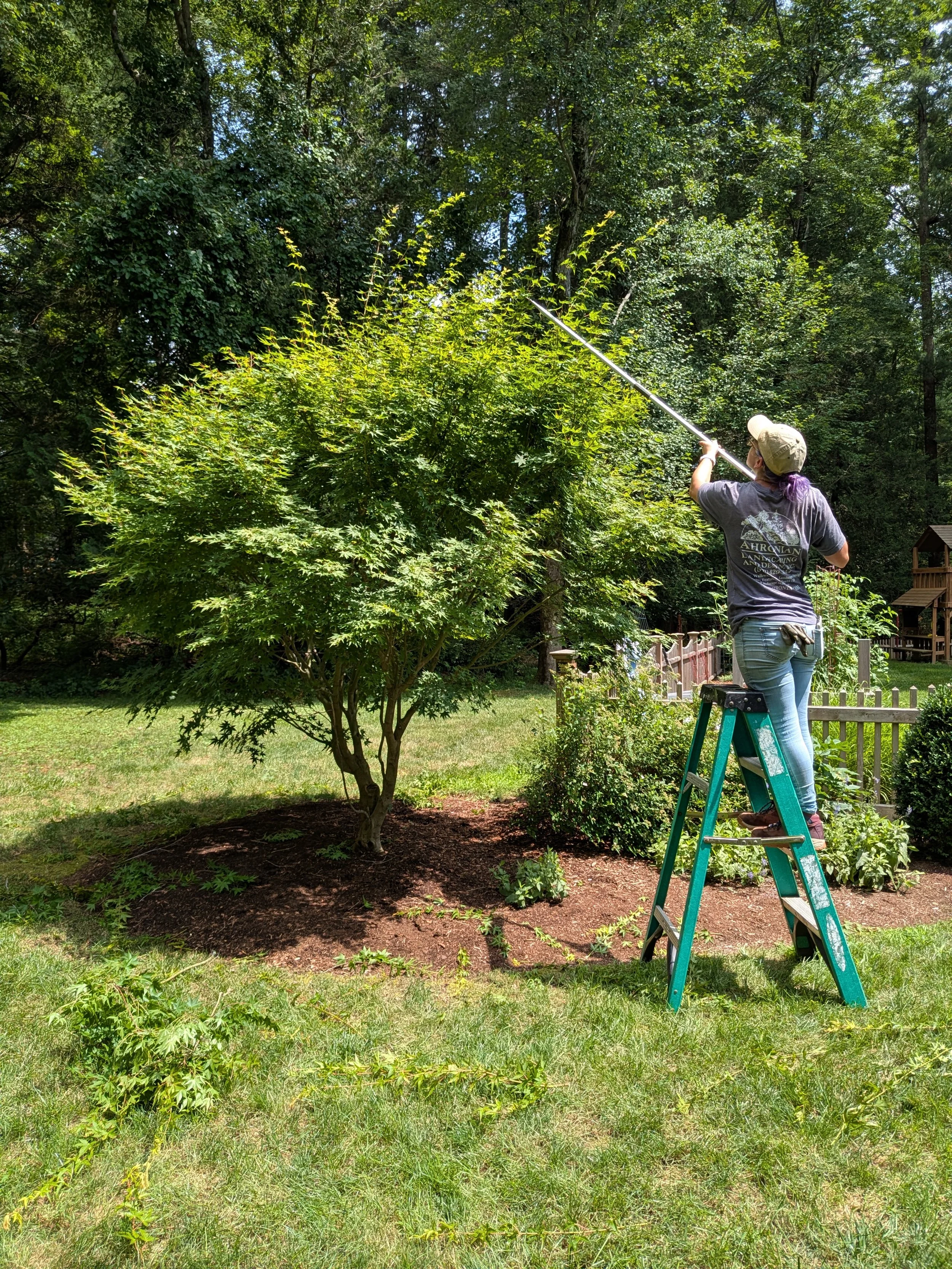 fine gardening services, landscape maintenance, garden care, seasonal maintenance