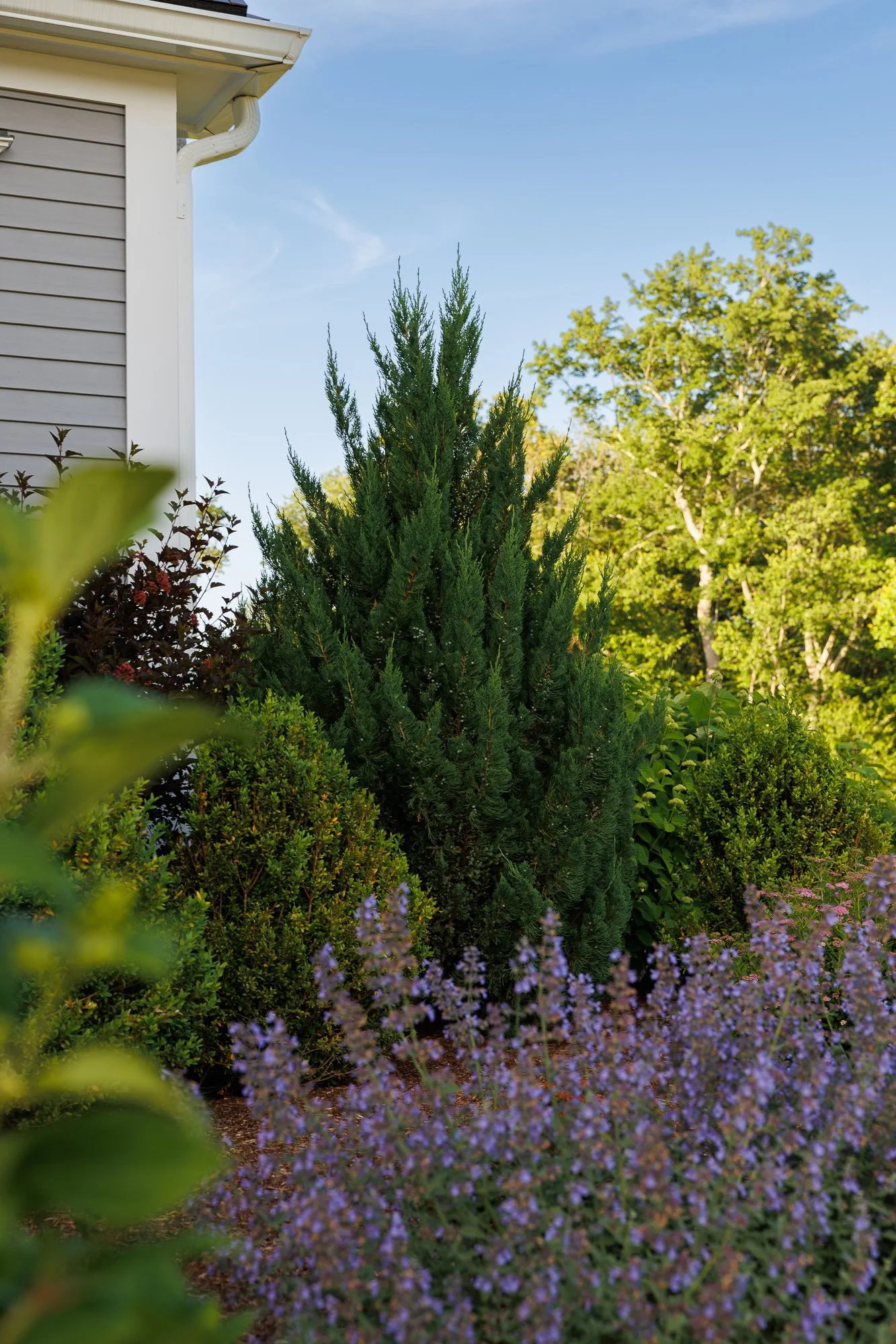 landscape layering, landscape design, layered plantings, seasonal color